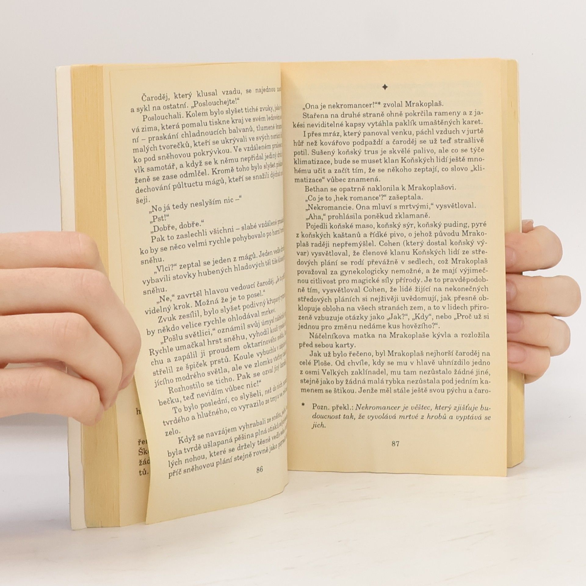 Terry Pratchett Lehké fantastično
