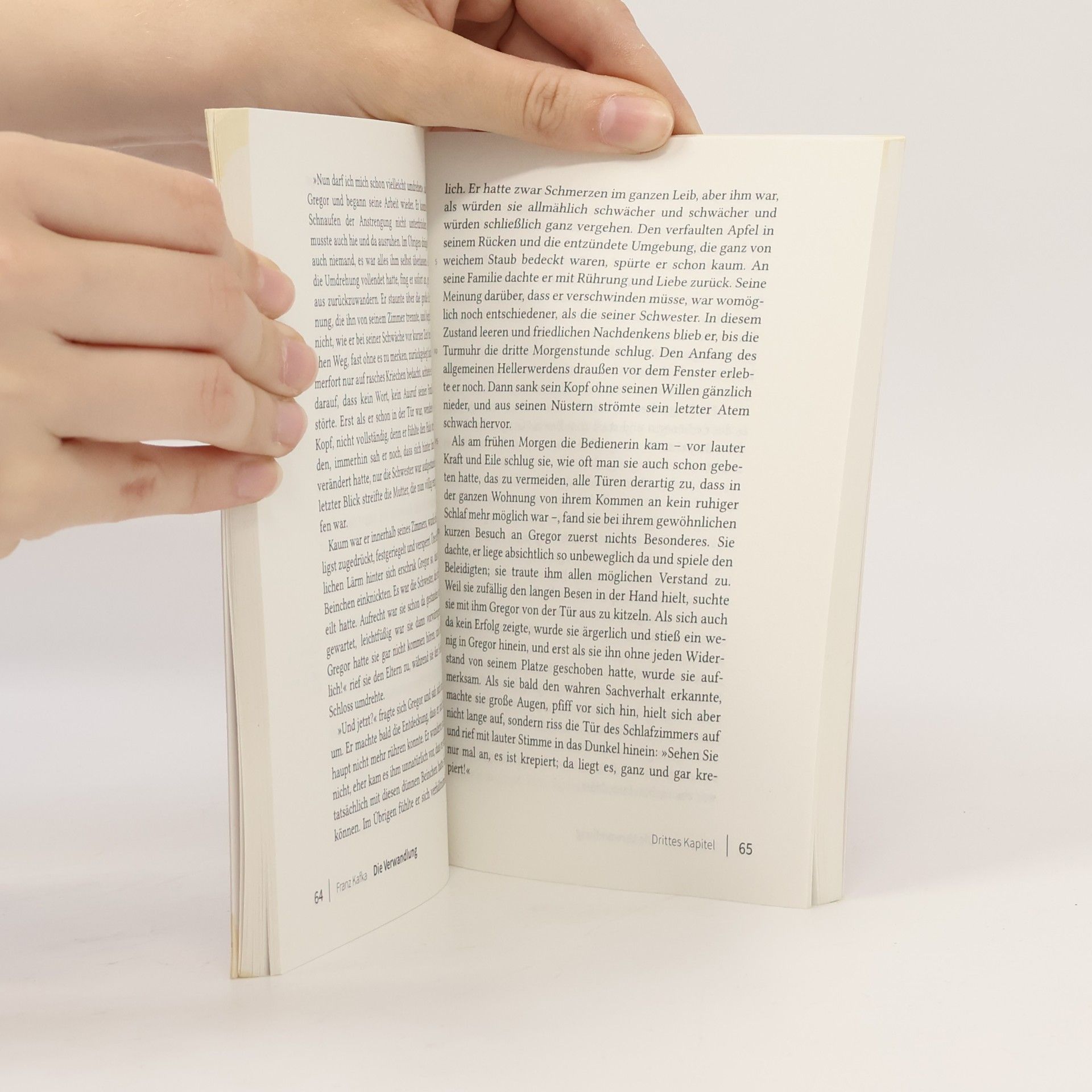 Franz Kafka Die Verwandlung / Brief an den Vater