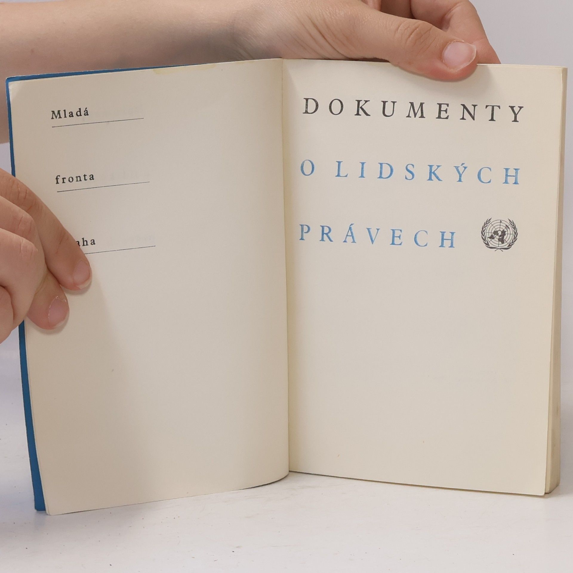 kolektiv Dokumenty o lidských právech