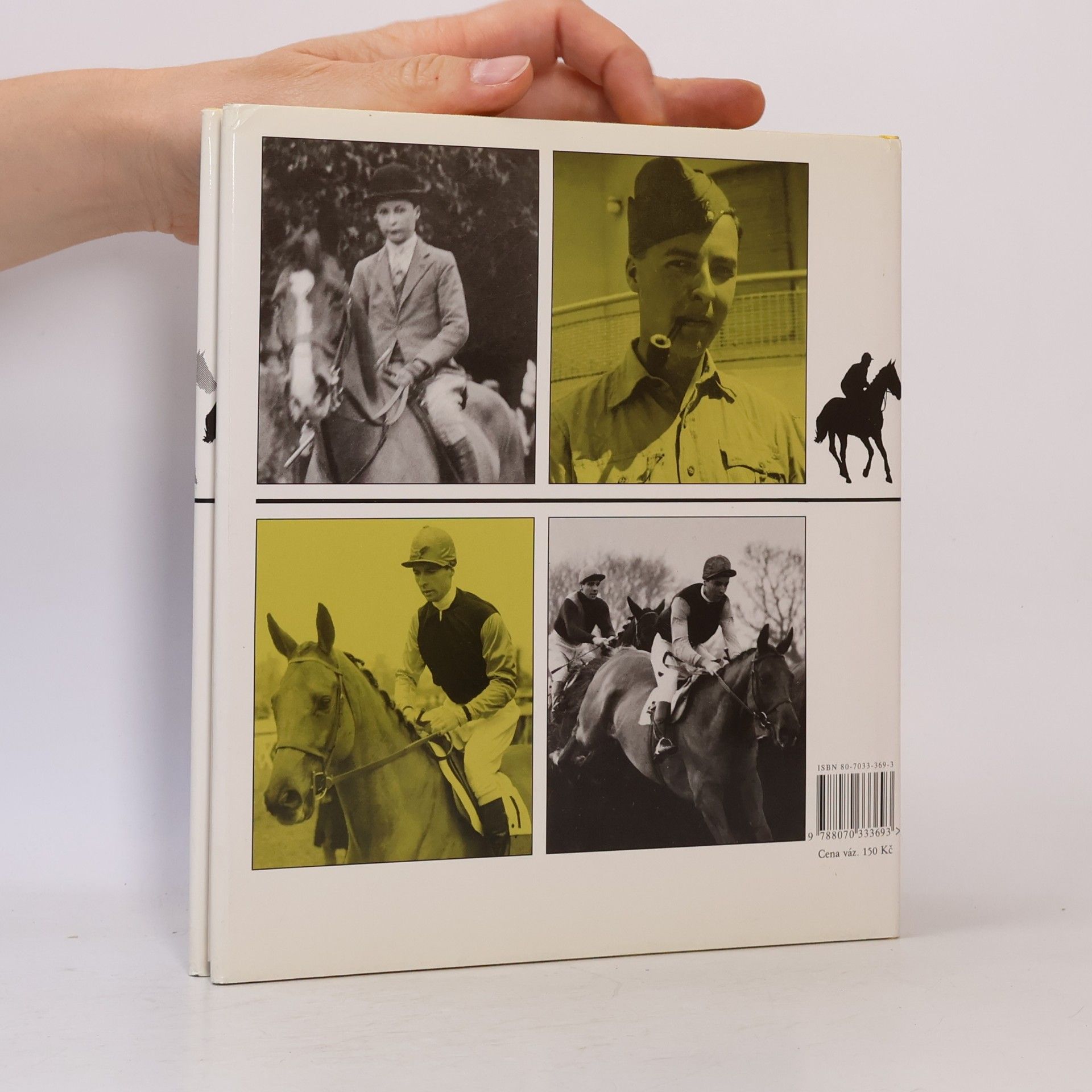 Bryony Fuller Dick Francis: žokej steeplechase