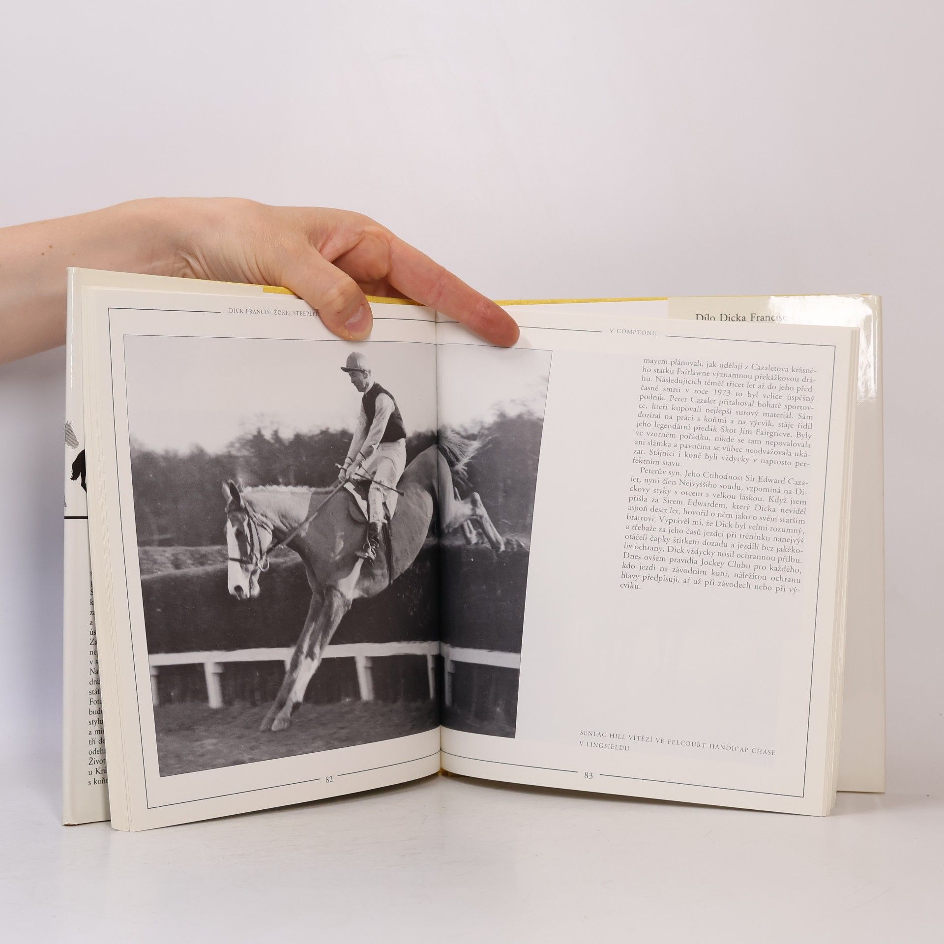 Bryony Fuller Dick Francis: žokej steeplechase