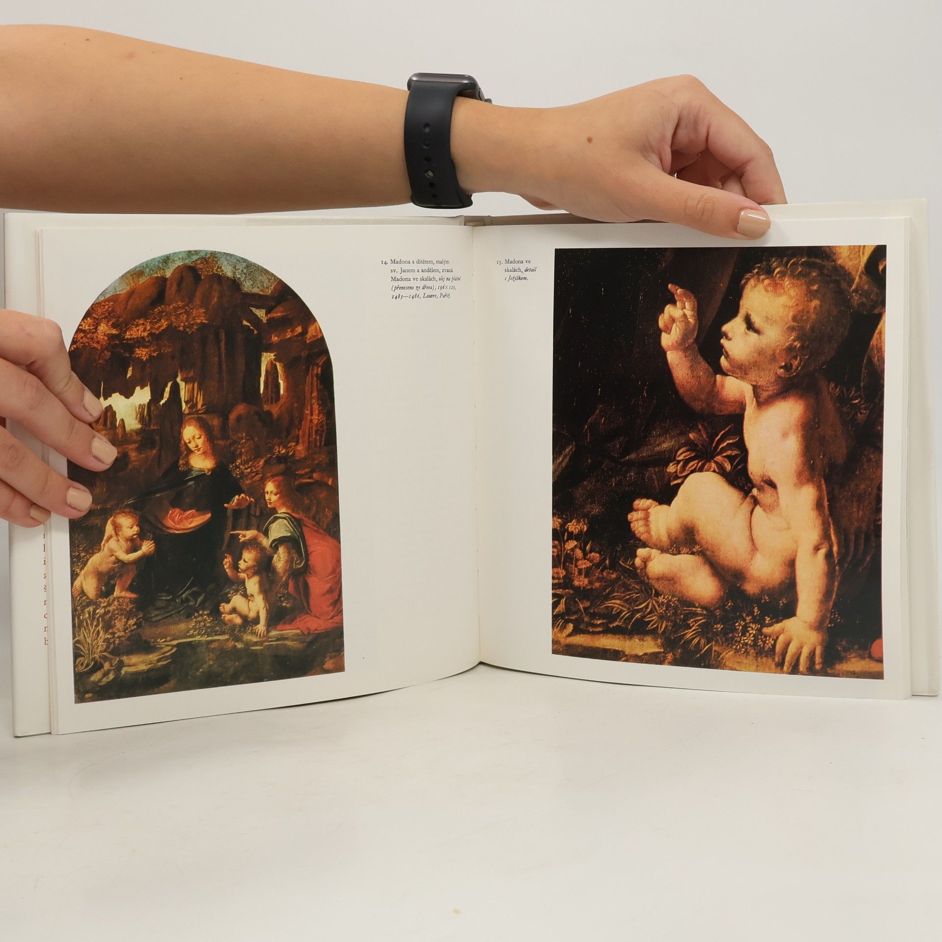 Jaromír Pečírka Leonardo da Vinci