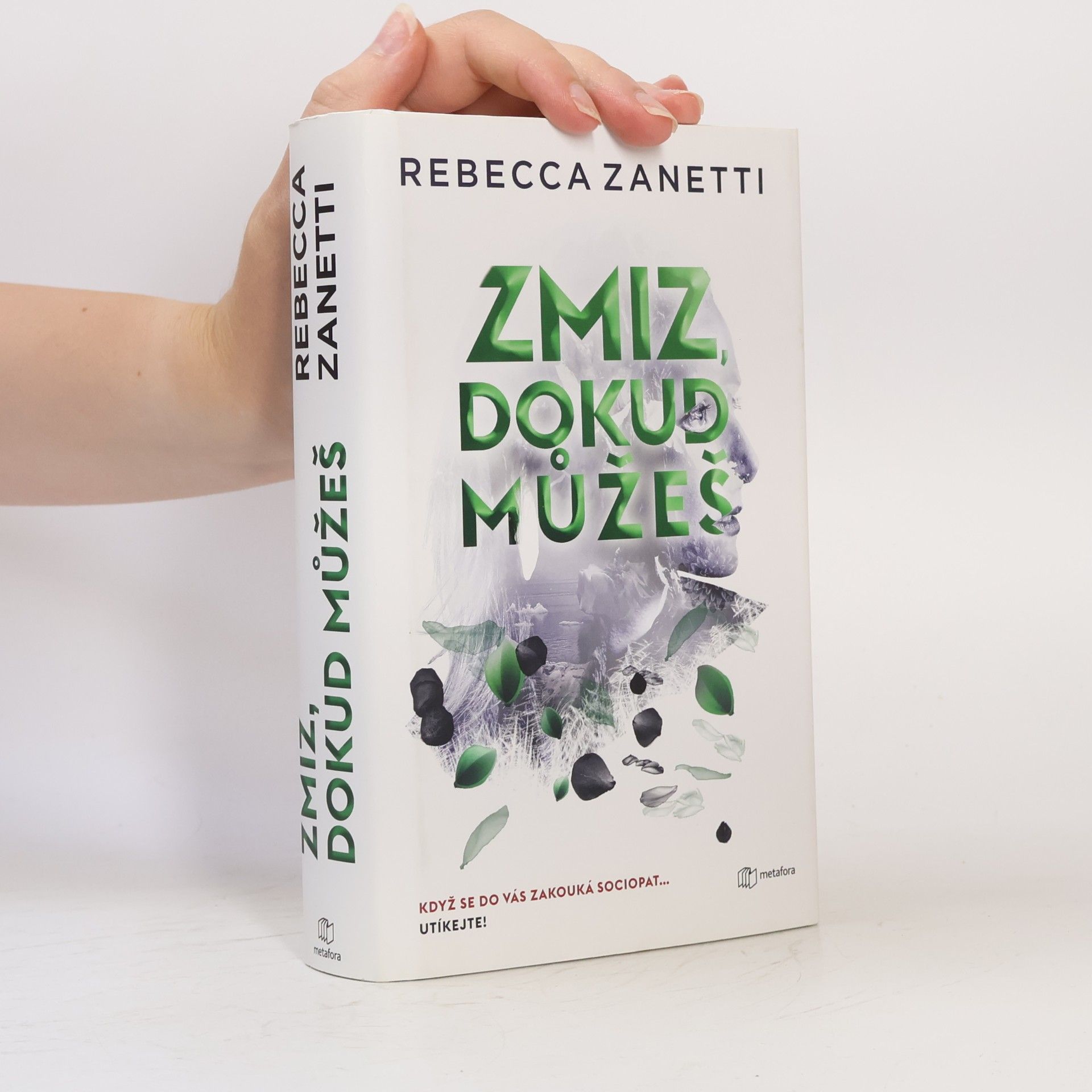 Rebecca Zanetti Zmiz, dokud můžeš