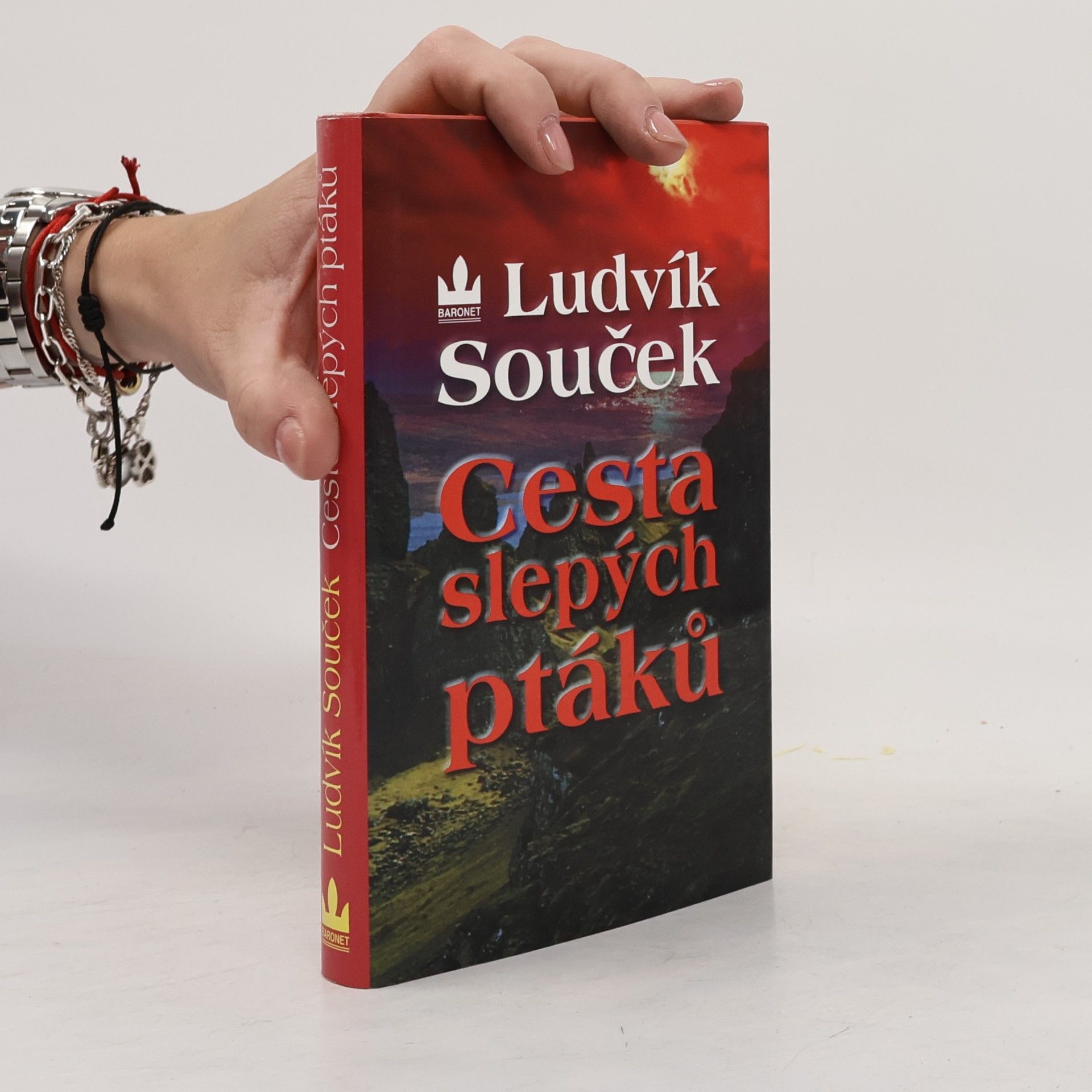 Ludvík Souček Cesta slepých ptáků