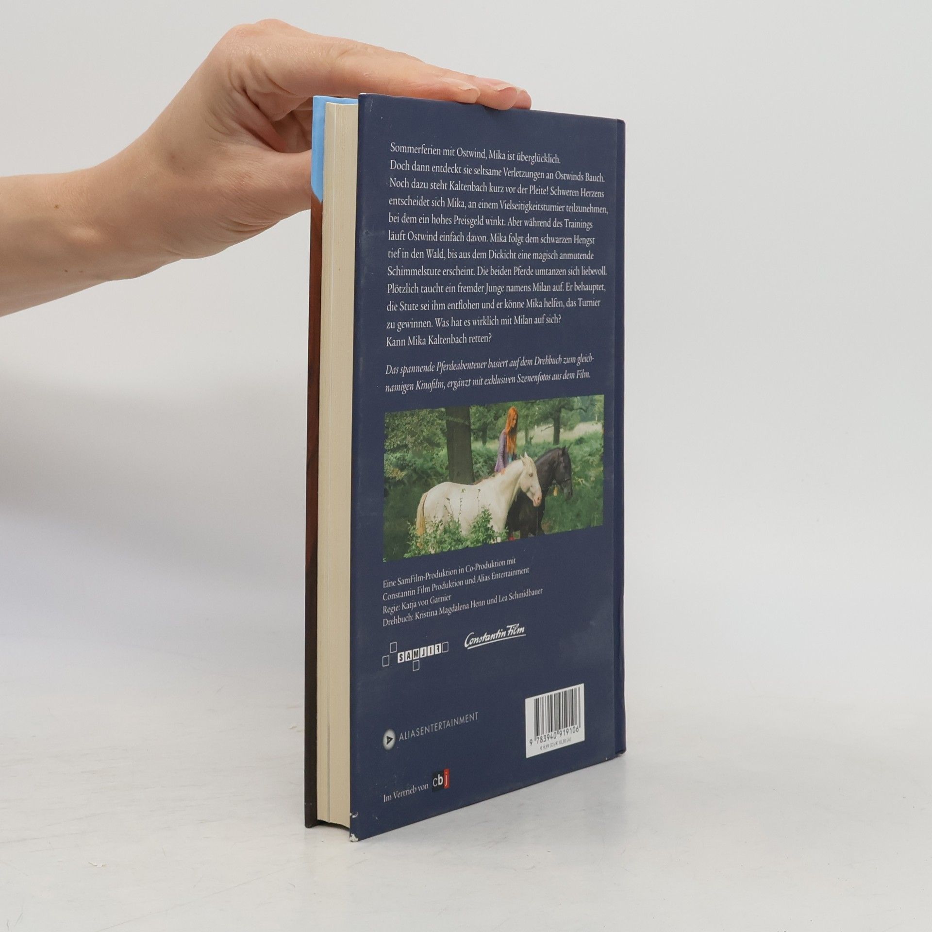 Kristina Magdalena Henn Ostwind 2 - Das Buch zum Film