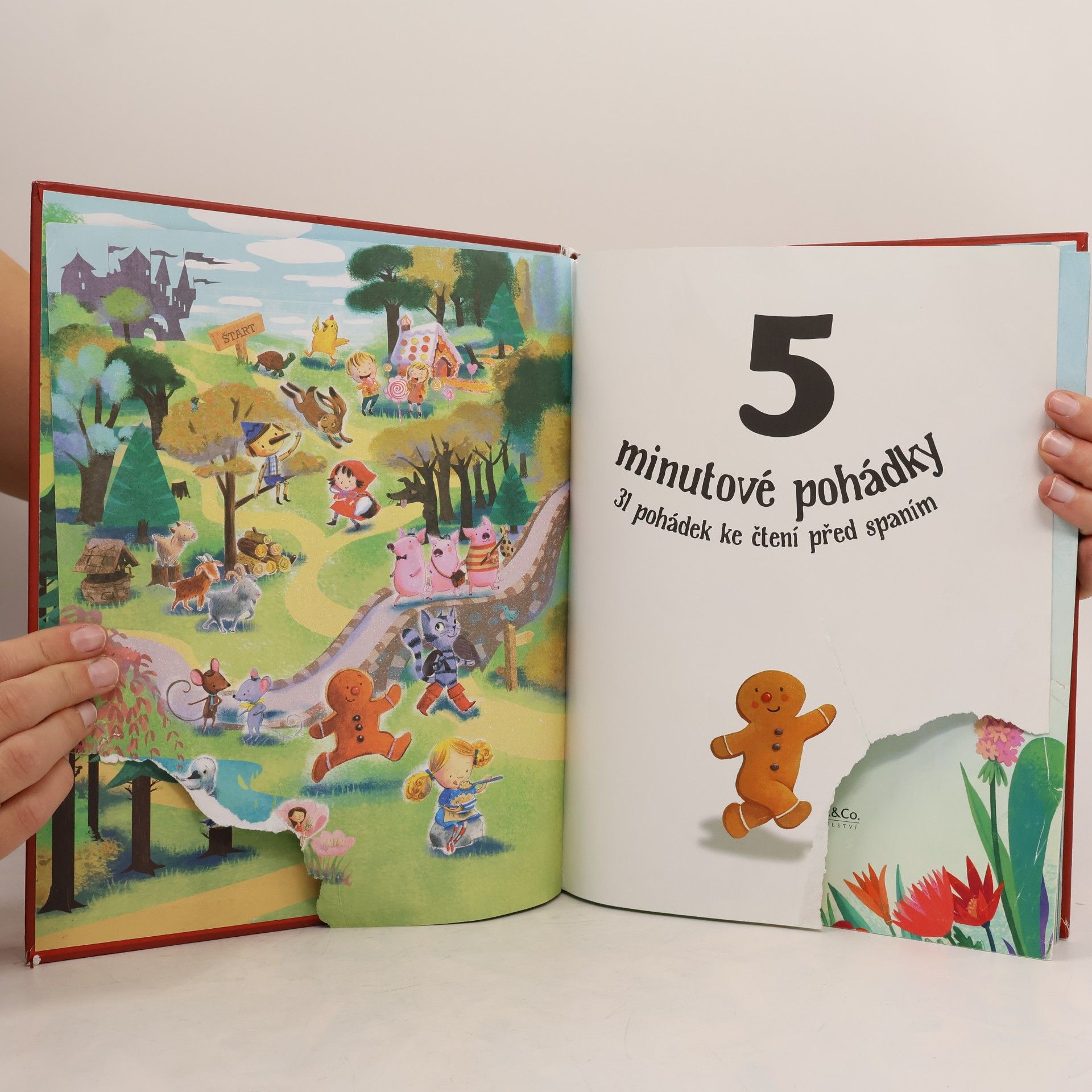 Autorenkollektiv 5 minutové pohádky - 31 pohádek ke čtení před spaním