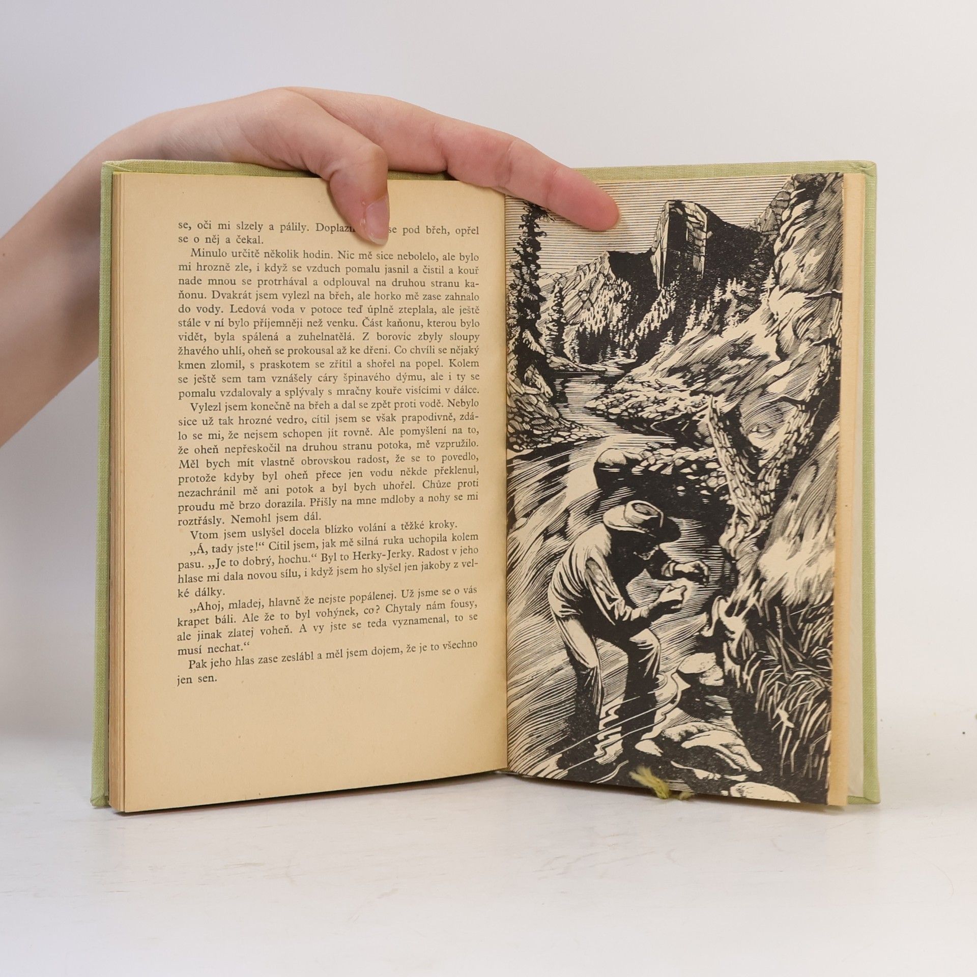 Zane Grey Prázdniny v pralese