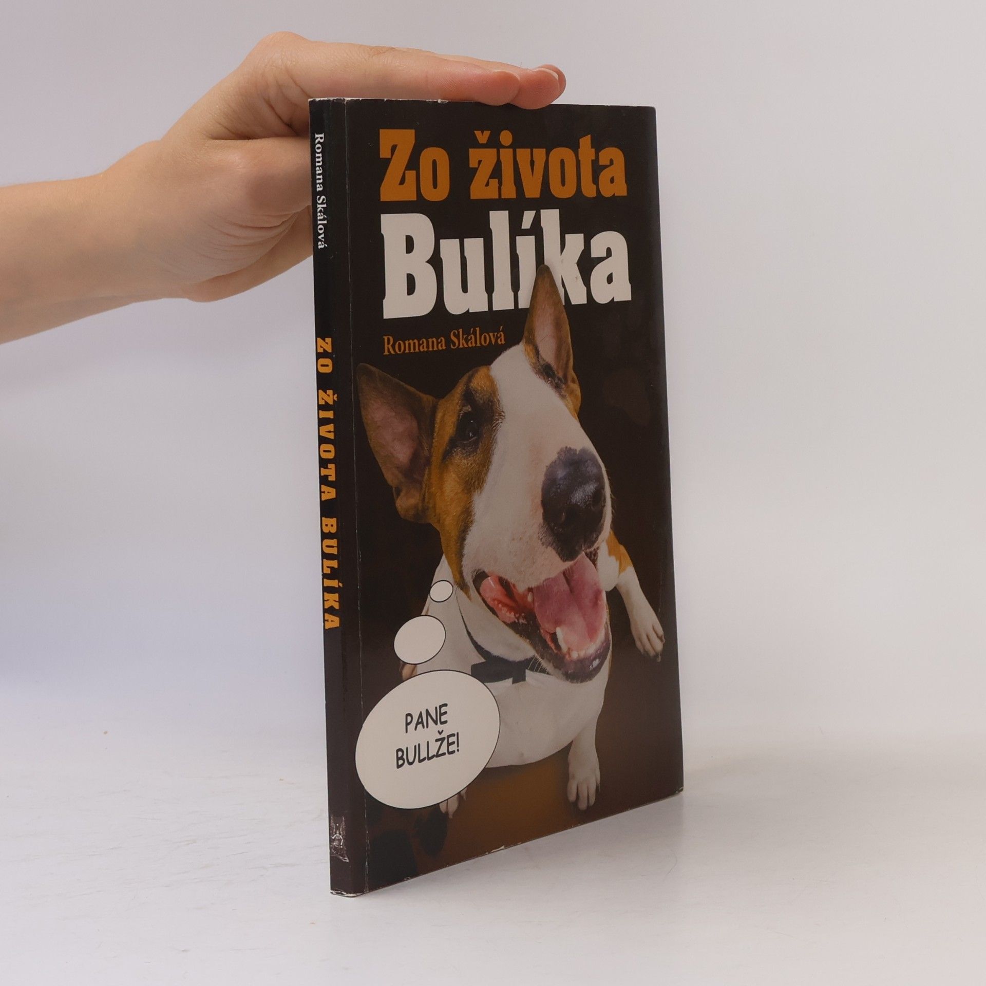 Zo života Bulíka
