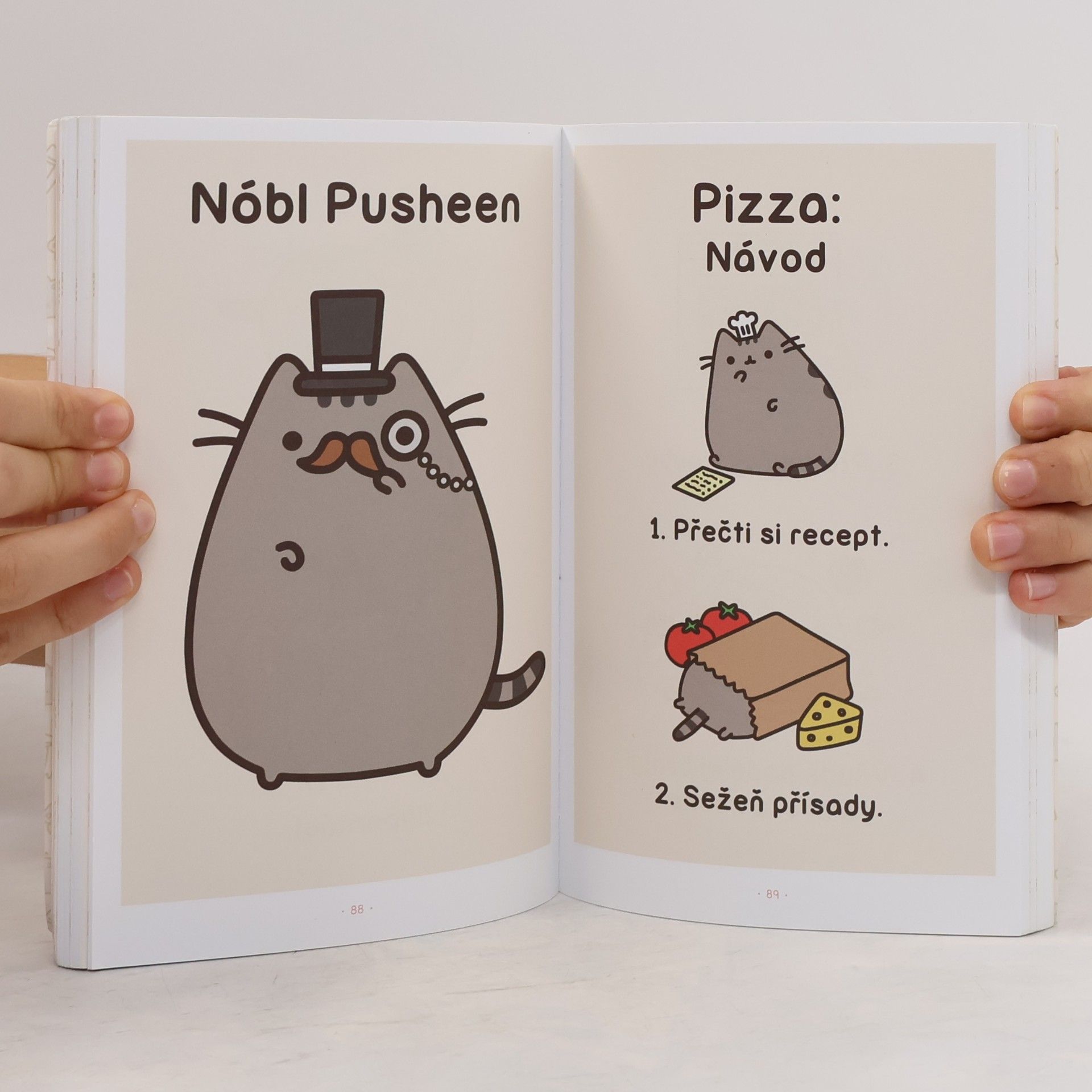 Claire Belton Pusheen. Já, košišta