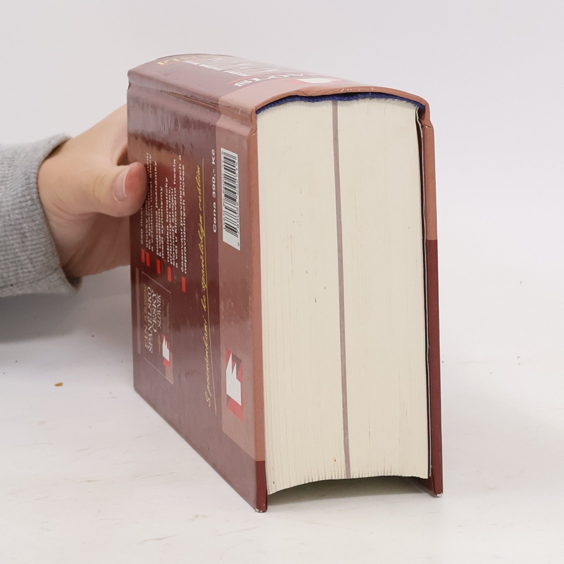 Various authors Španělsko-český slovník