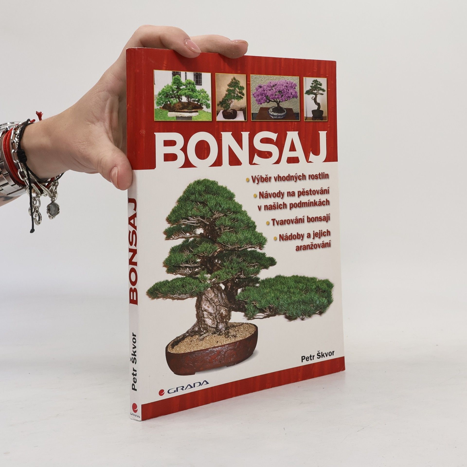Petr Škvor Bonsaj