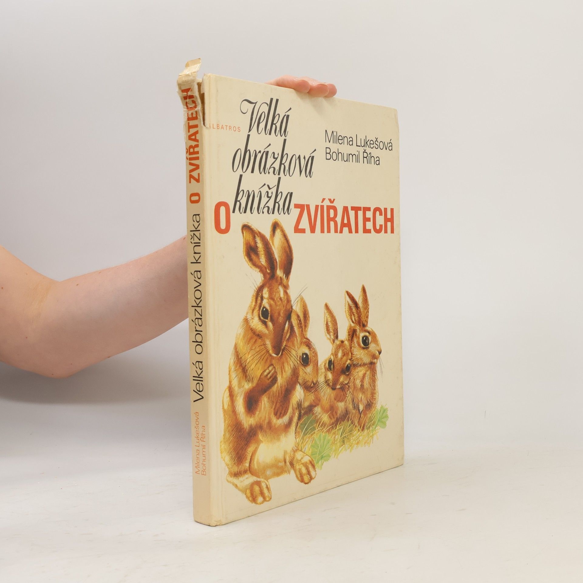 Milena Lukešová Velká obrázková knížka o zvířatech