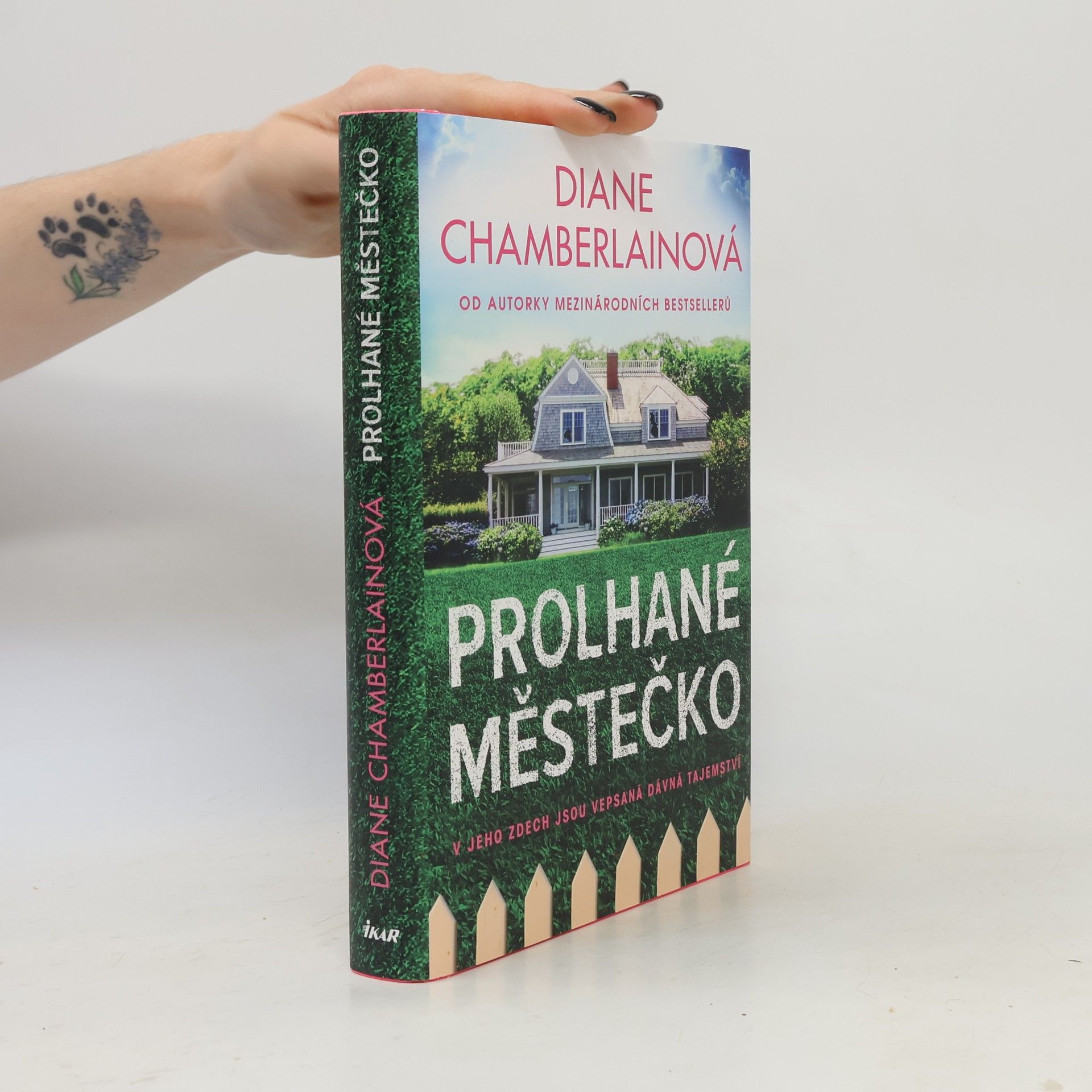 Diane Chamberlain Prolhané městečko
