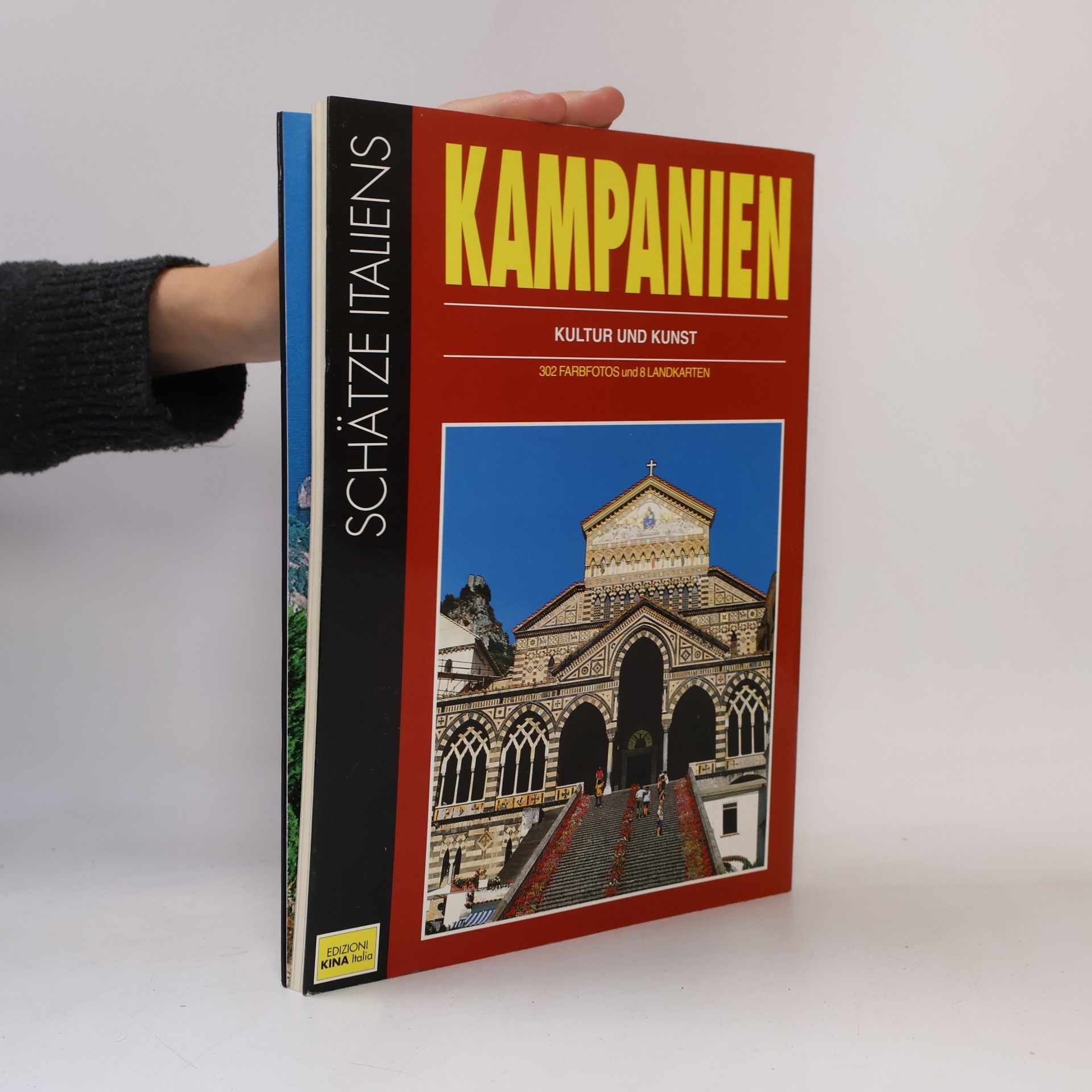 Autorenkollektiv Kampanien