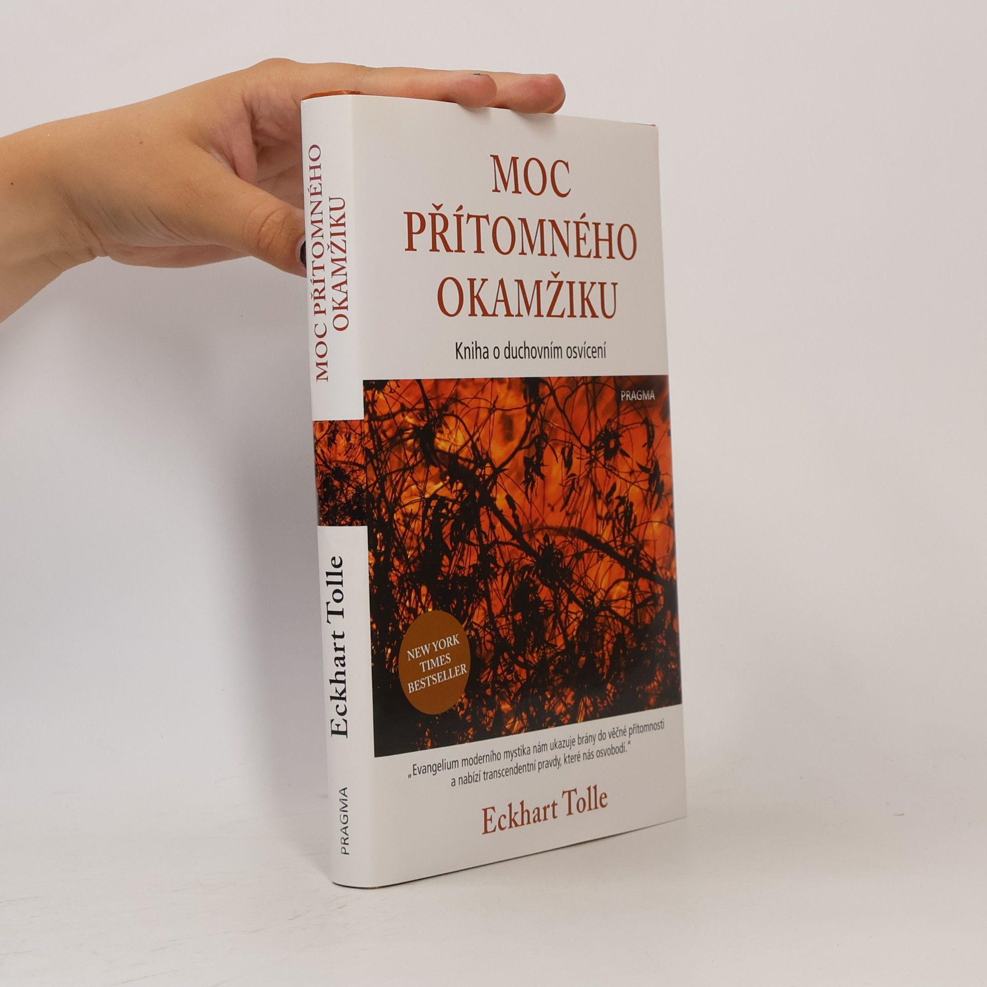 Eckhart Tolle Moc přítomného okamžiku