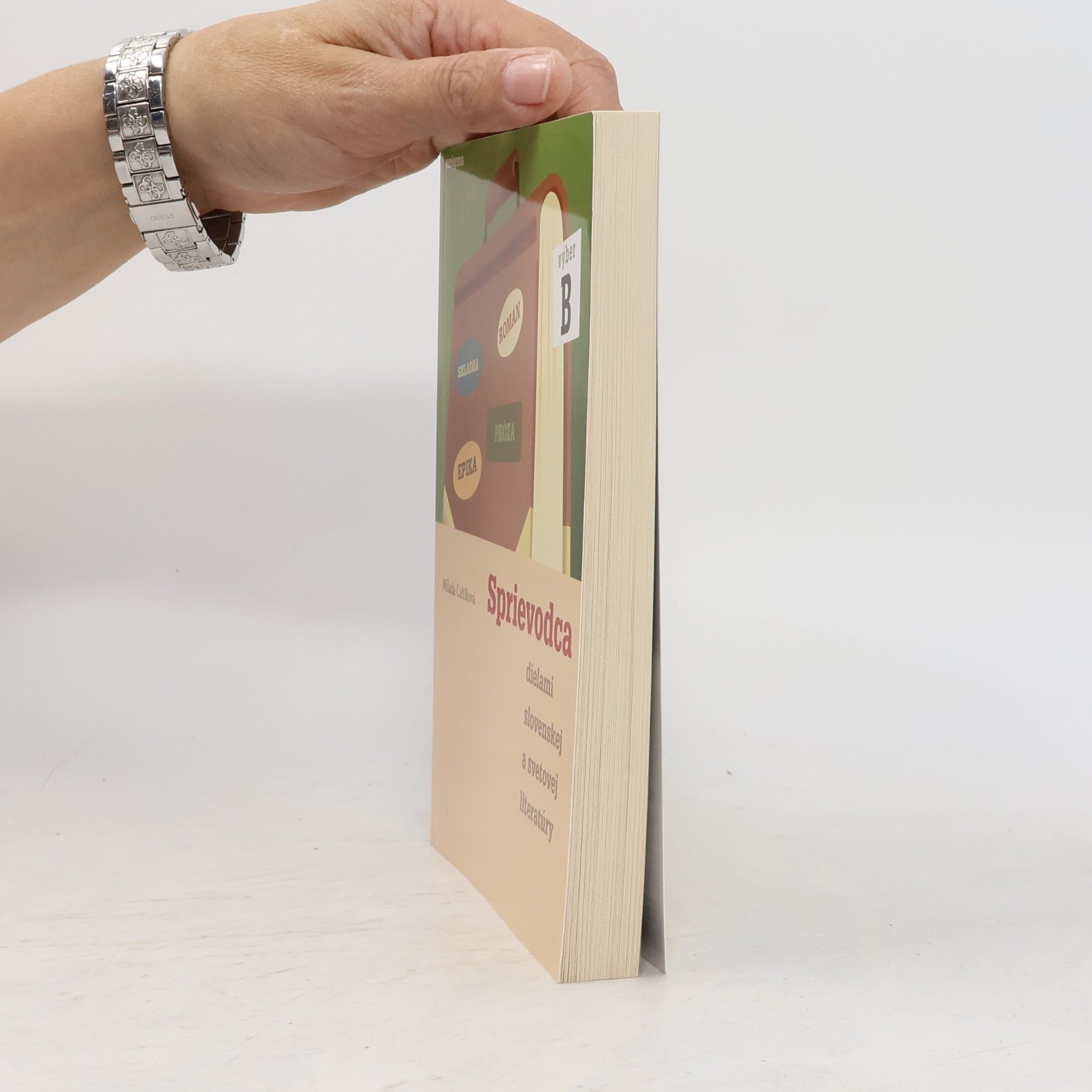 Milada Caltíková Sprievodca dielami slovenskej a svetovej literatúry. Výber B.