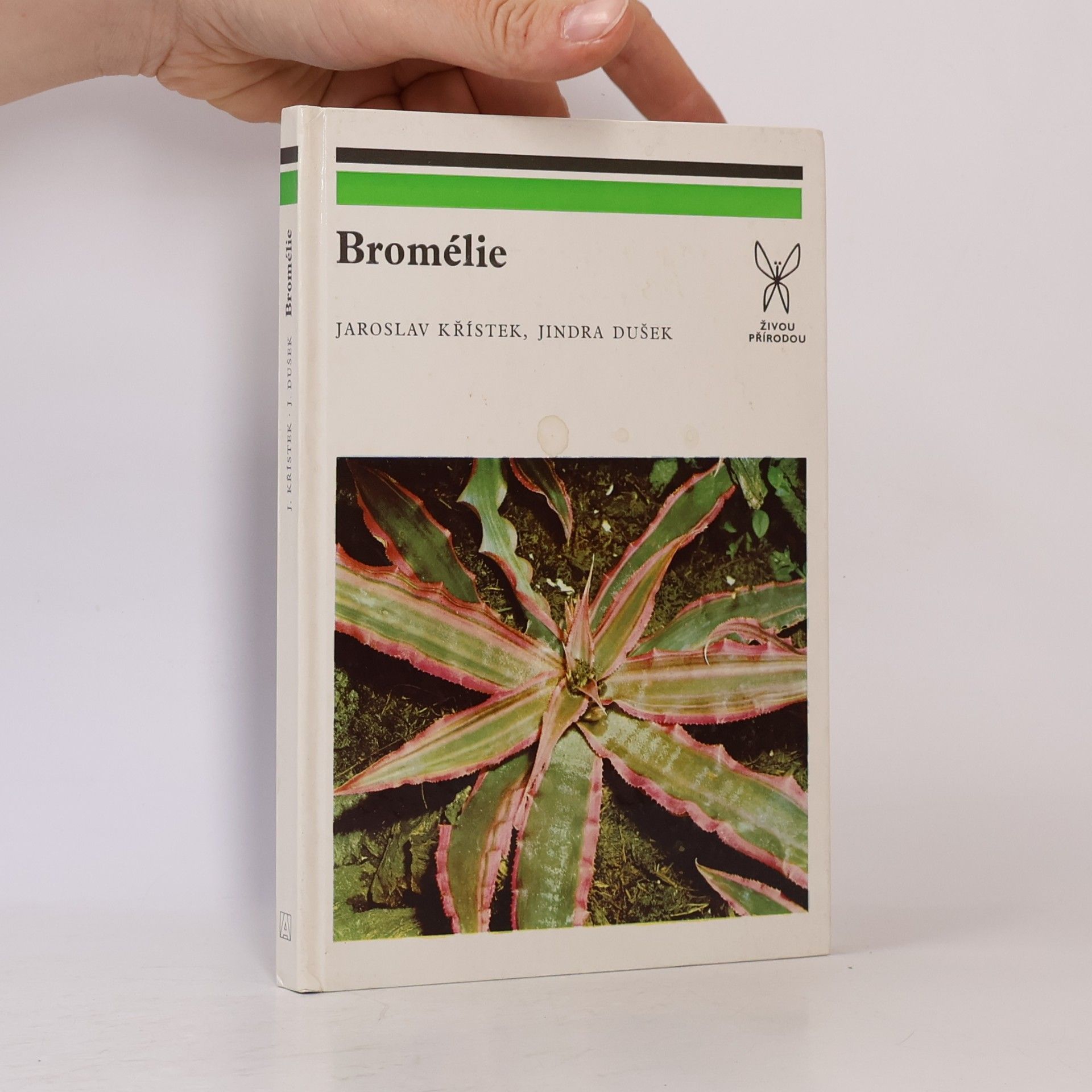 Jiří Ledr Bromélie