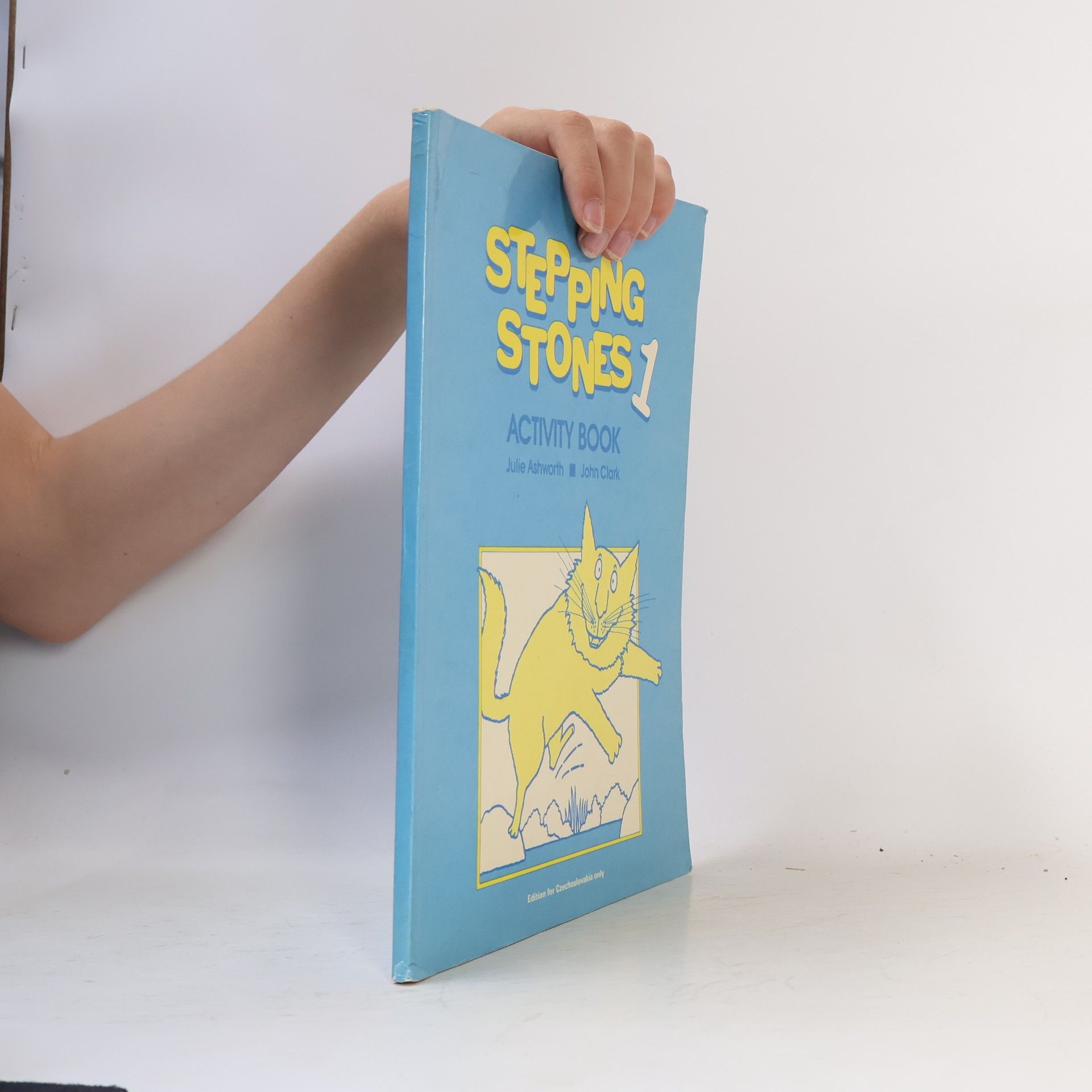 Stepping stones 1 : Activity Book
