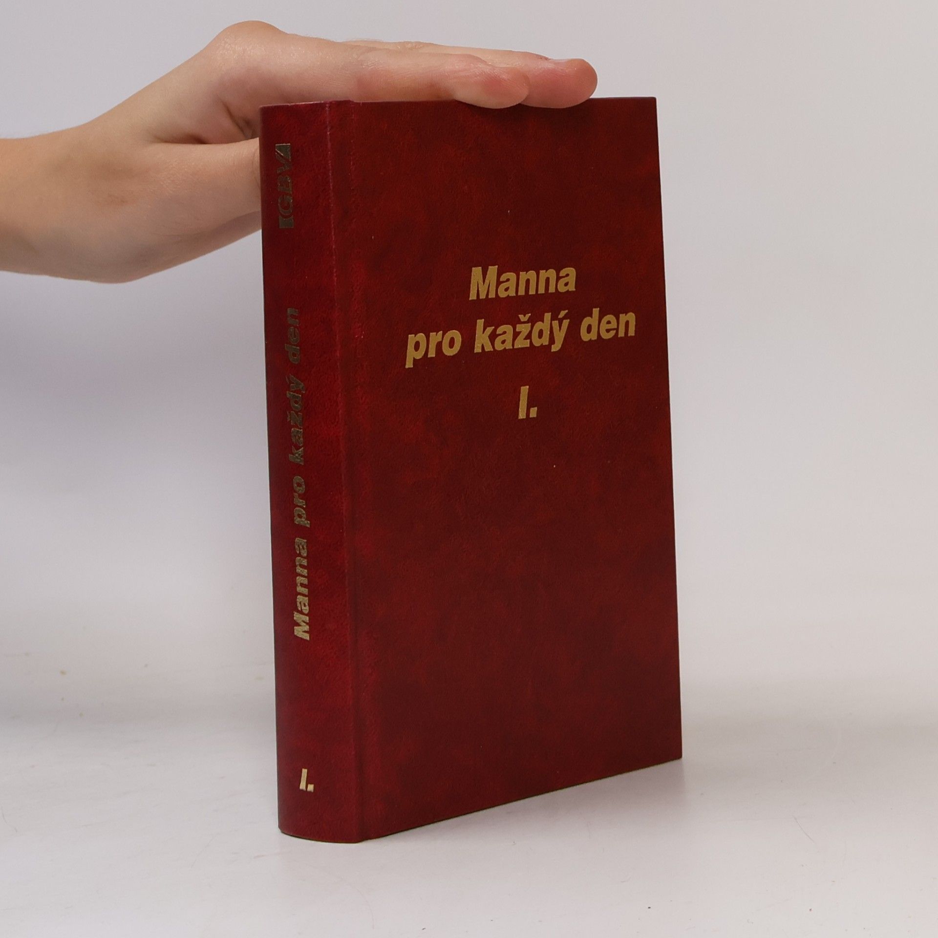 Kolektiv autorů Manna pro každý den I.