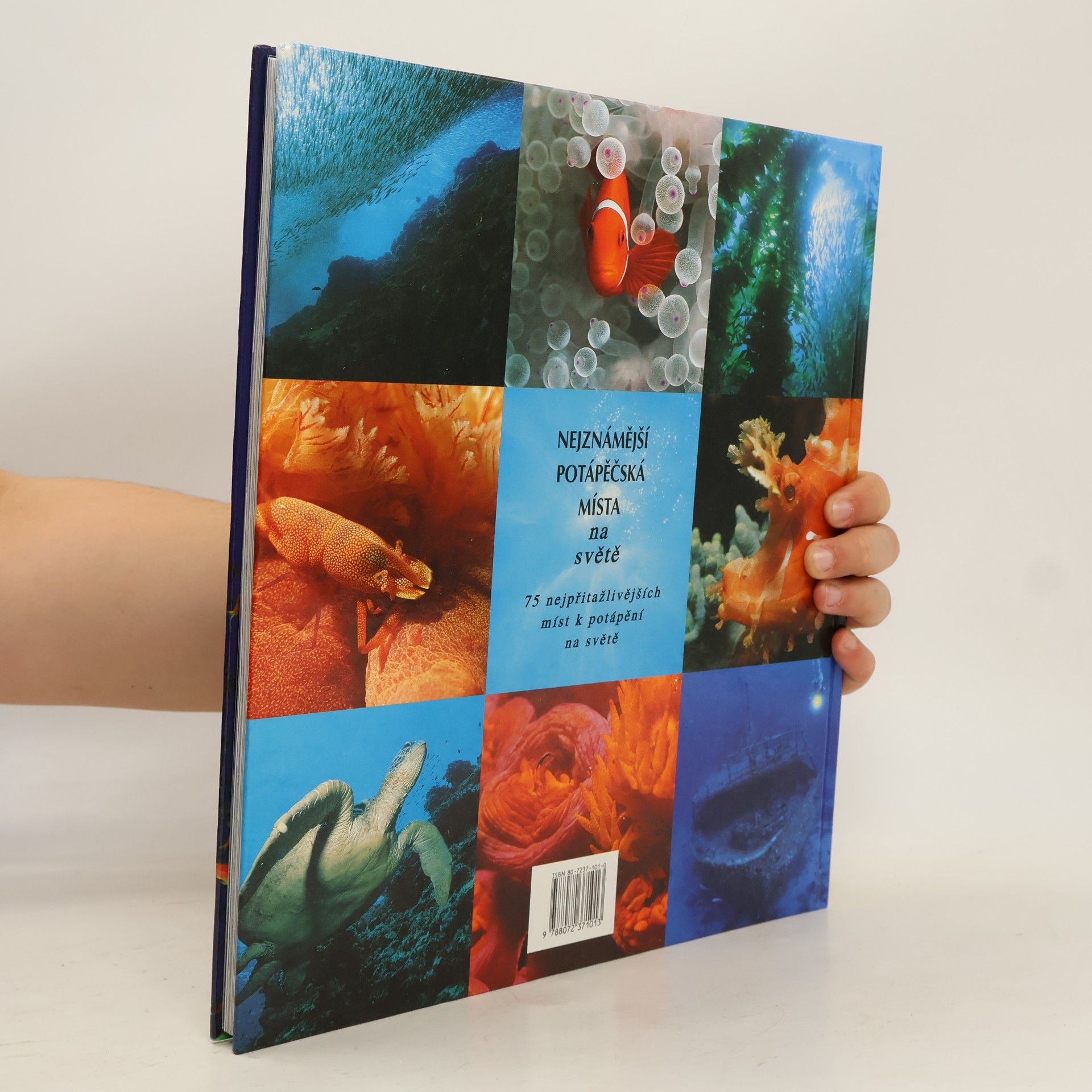 Various authors Nejznámější potápěčská místa na světě
