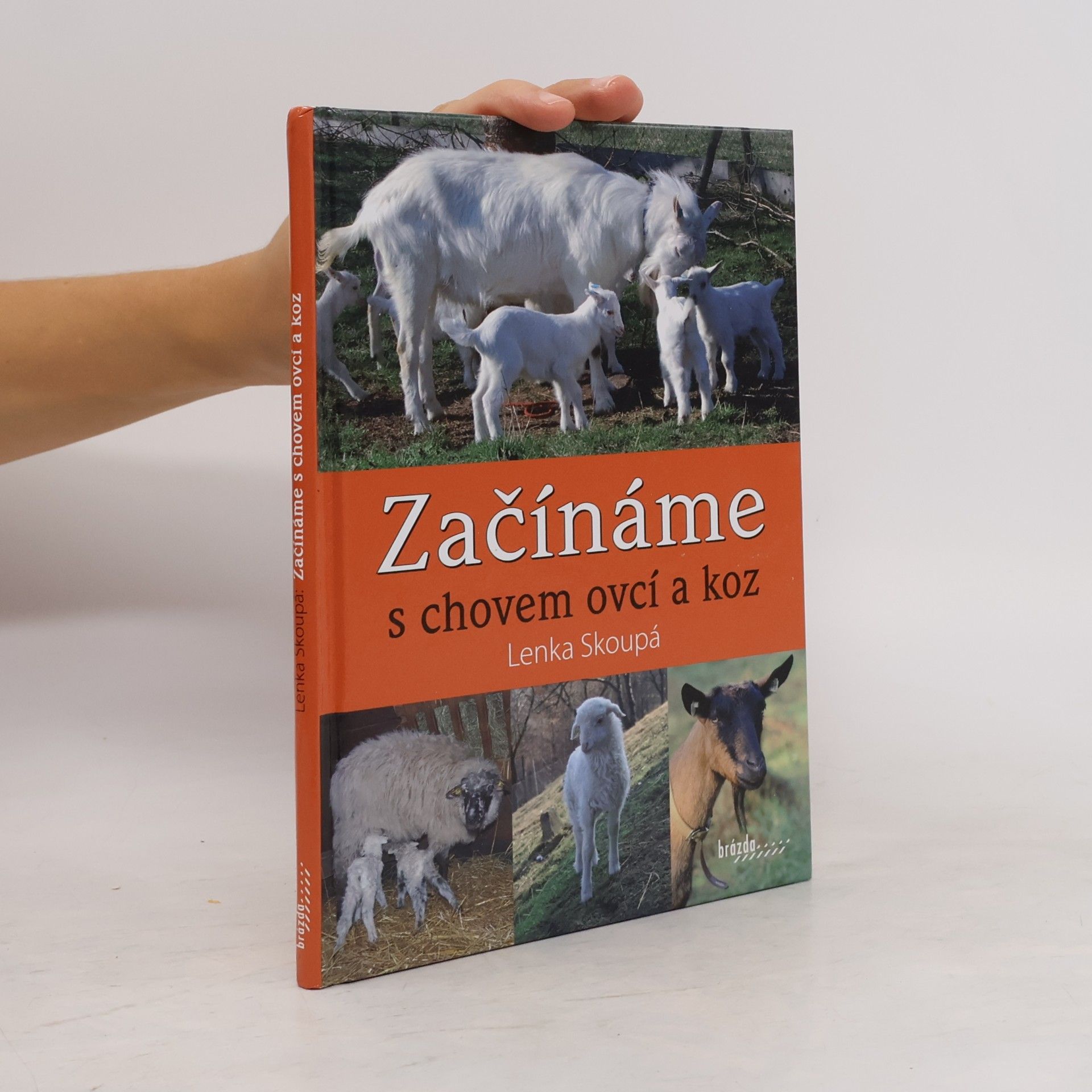 Lenka Skoupá Začínáme s chovem ovcí a koz