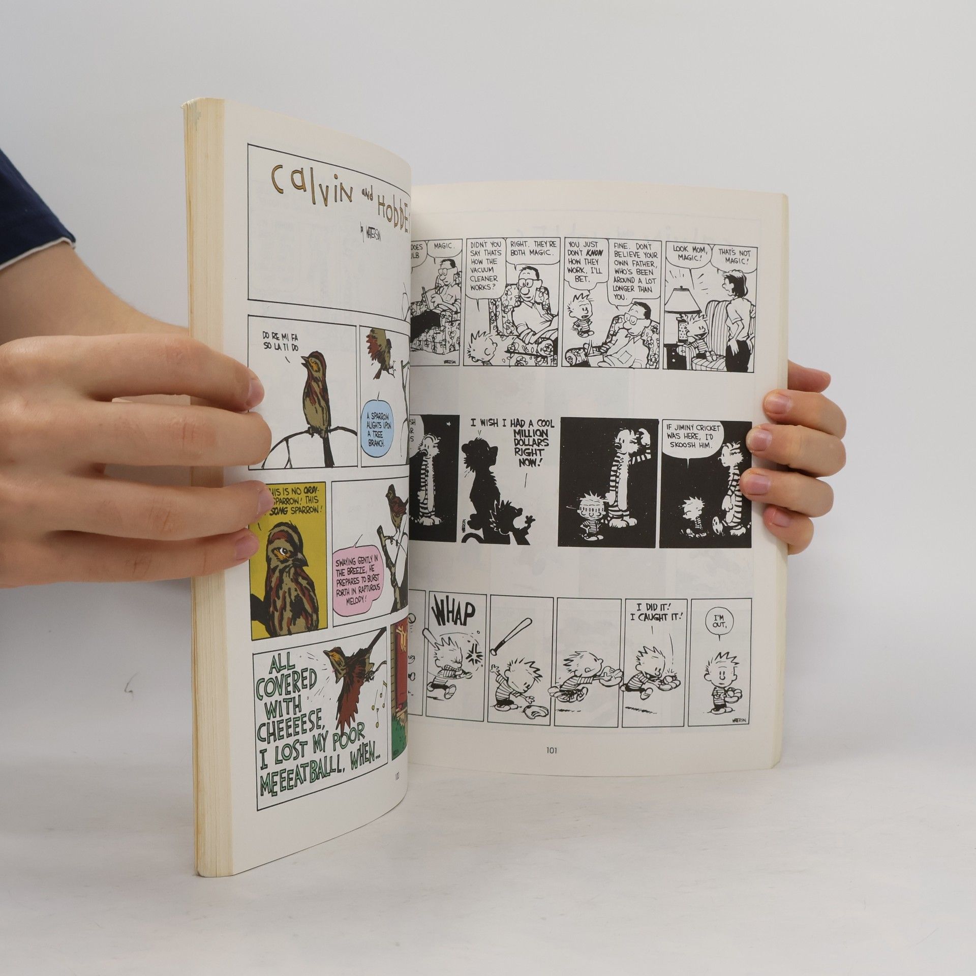 Bill Watterson Indispensable Calvin and Hobbe