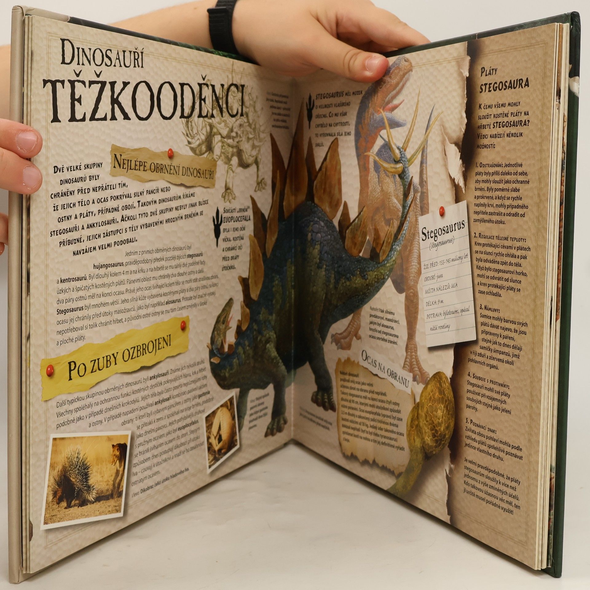 Robert Mash Tajemní dinosauři