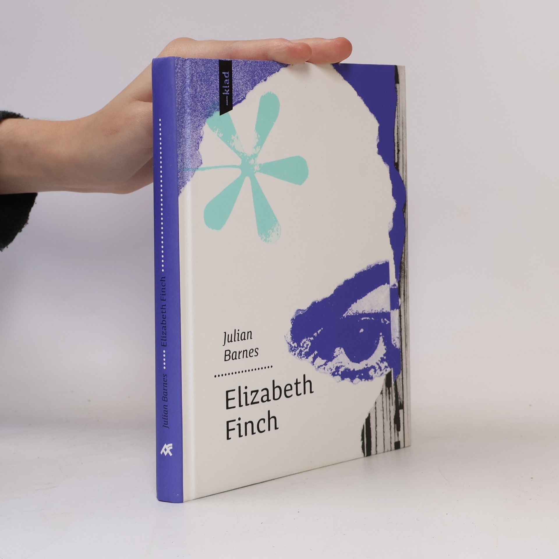 Julian Barnes Elizabeth Finch