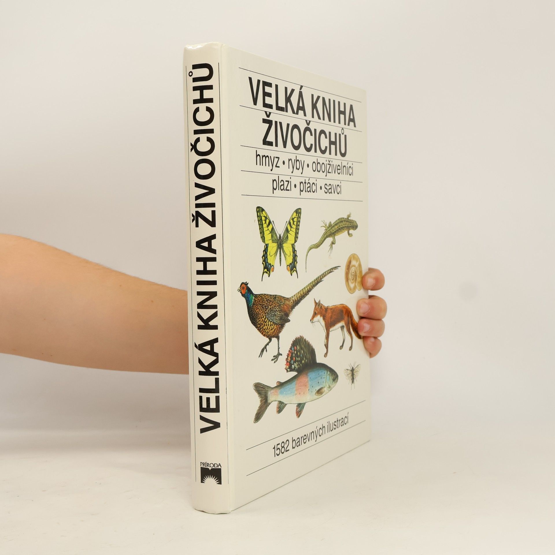 Kolektiv autorů Velká kniha živočichů. Hmyz, ryby, obojživelníci, plazi, ptáci, savci