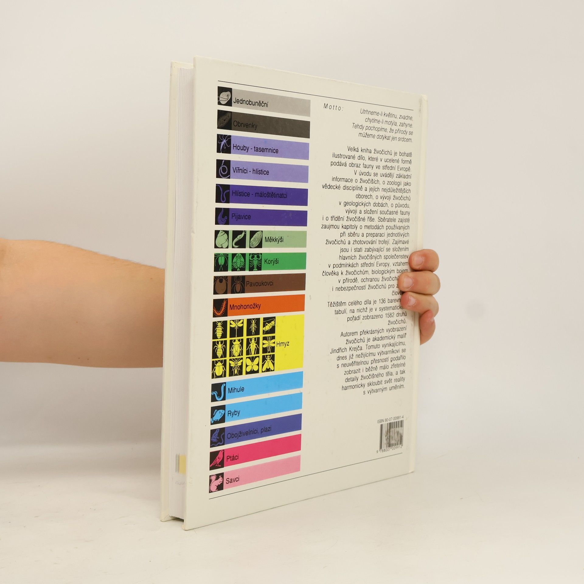 Autorenkollektiv Velká kniha živočichů. Hmyz, ryby, obojživelníci, plazi, ptáci, savci