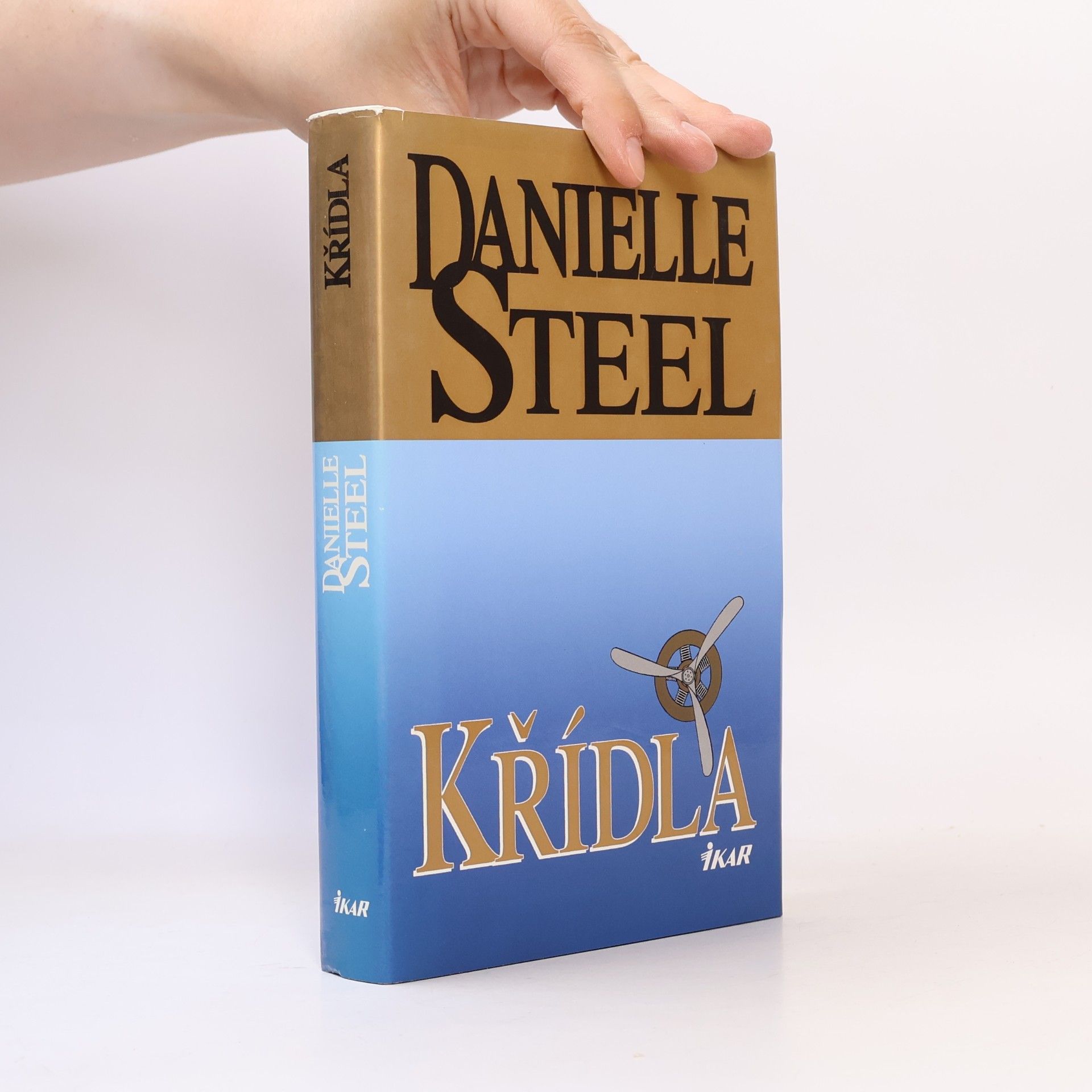 Danielle Steel Křídla