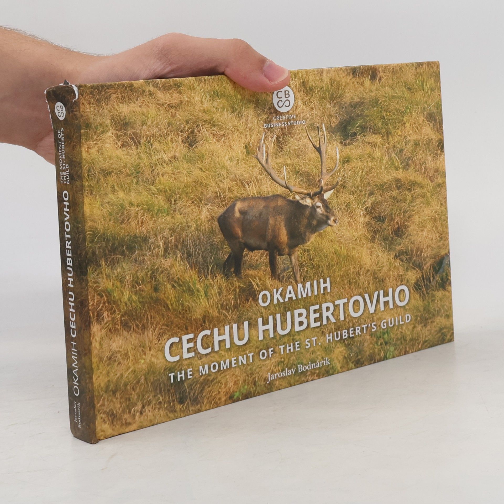 Jaroslav Bodnárik Okamih cechu Hubertovho