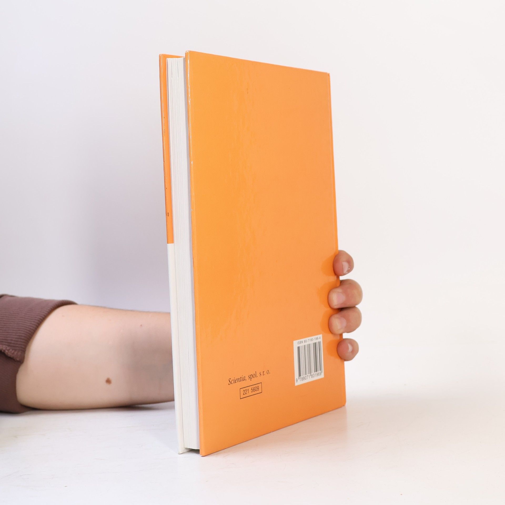 Věra Höppnerová Begleiter : Übungsgrammatik zum Lehrbuch Deutsch für Gymnasien
