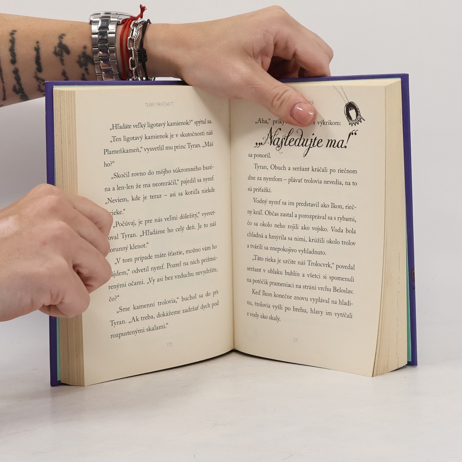 Terry Pratchett Striga na vysávači