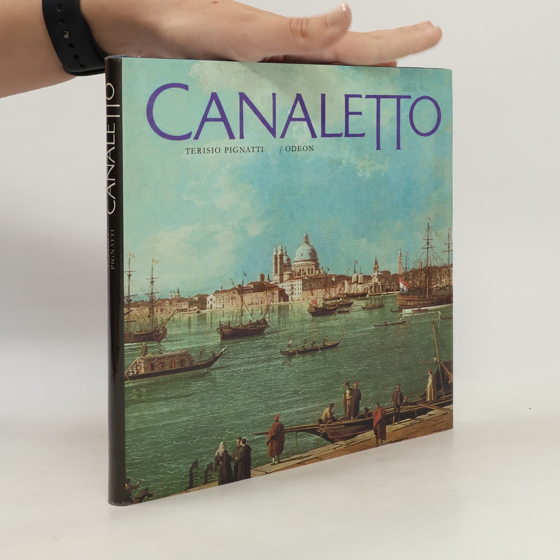 Terisio Pignatti Canaletto