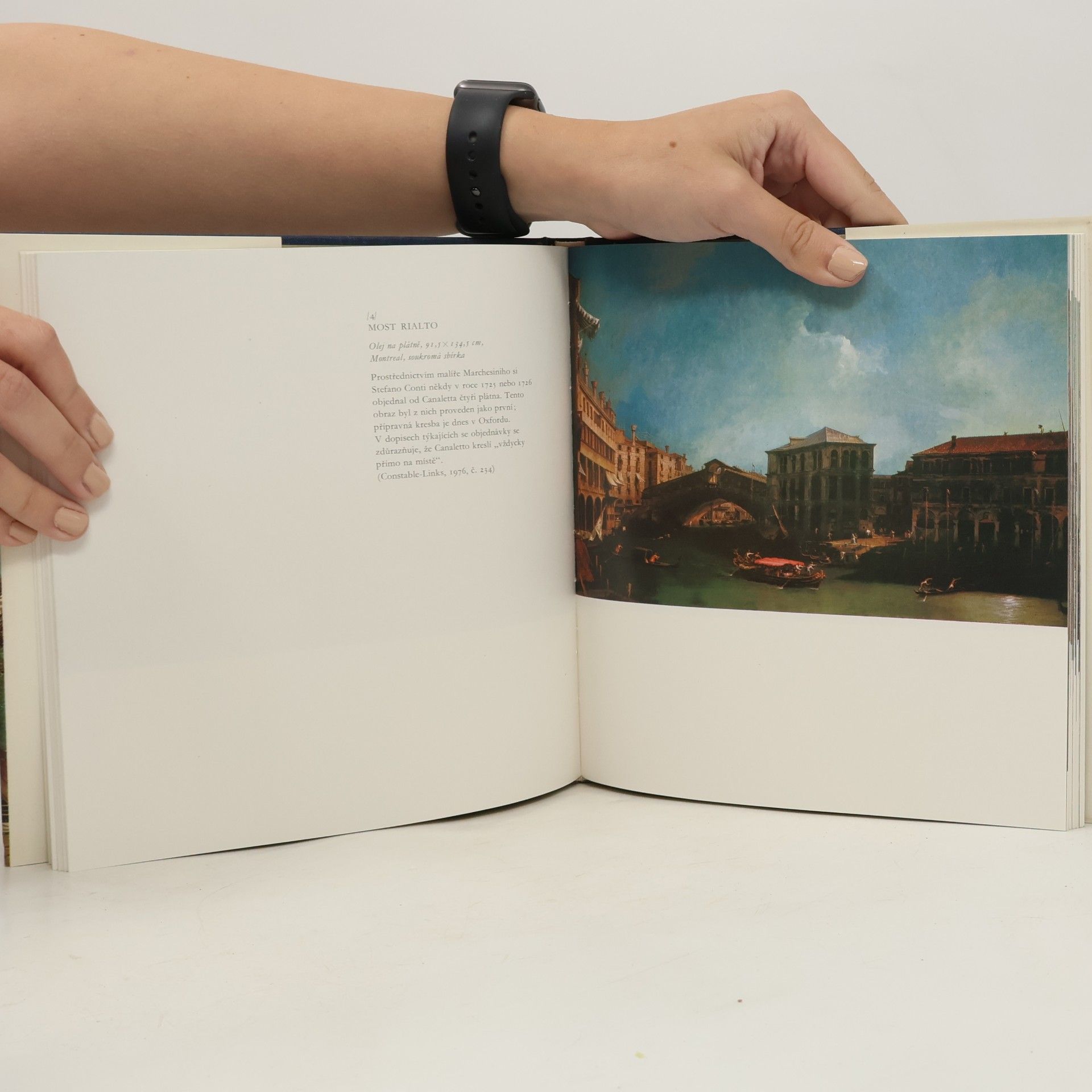 Terisio Pignatti Canaletto