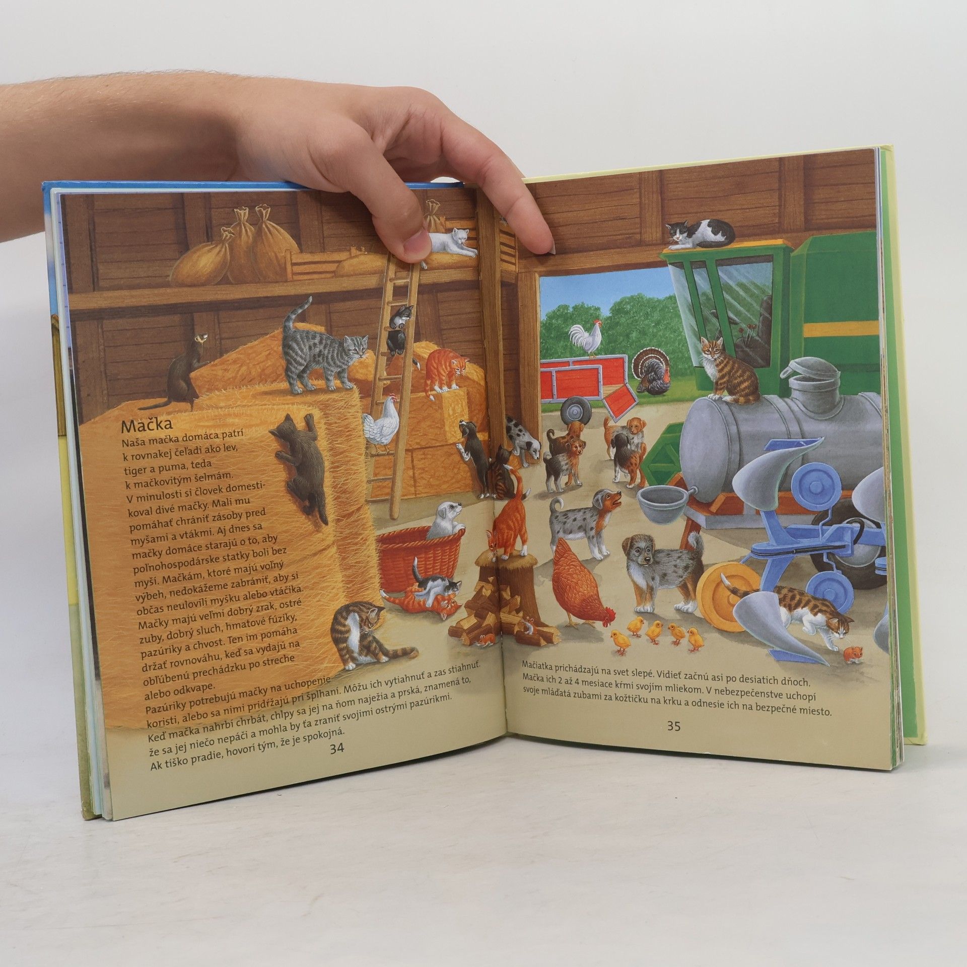 Gisela Fischer-Lingat Čo sa deje na statku