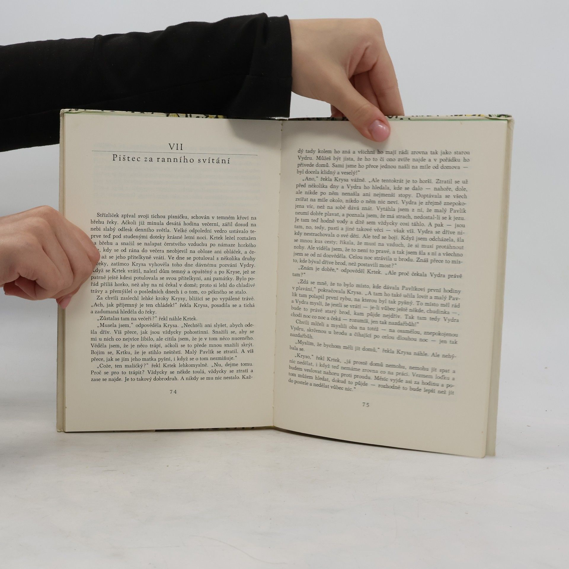 Kenneth Grahame Žabákova dobrodružství