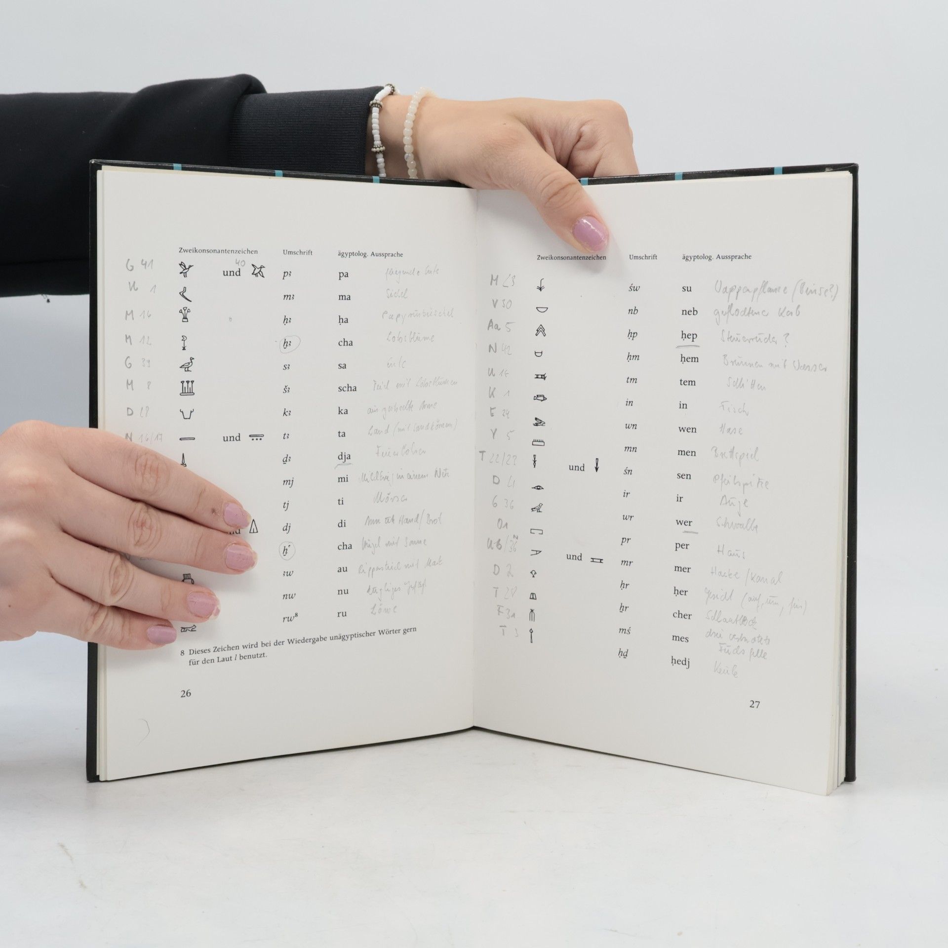 Karl-Theodor Zauzich Hieroglyphen ohne Geheimnis