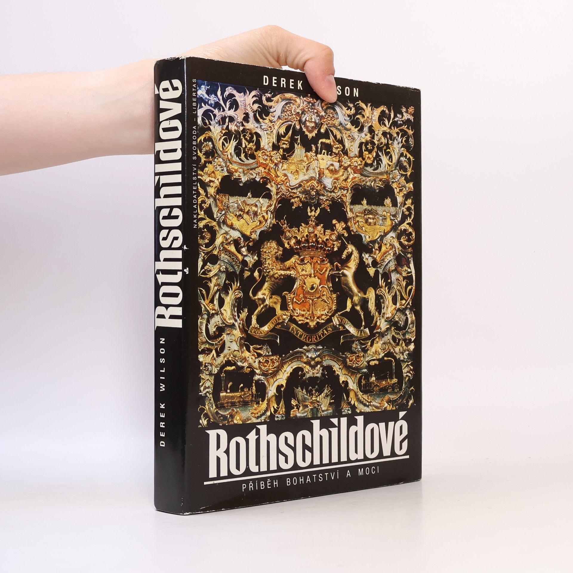 Derek A. Wilson Rothschildové. Příběh bohatství a moci