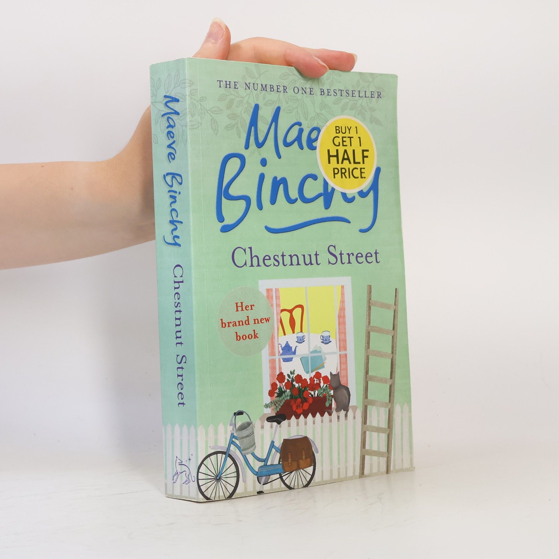 Maeve Binchy Chestnut Street