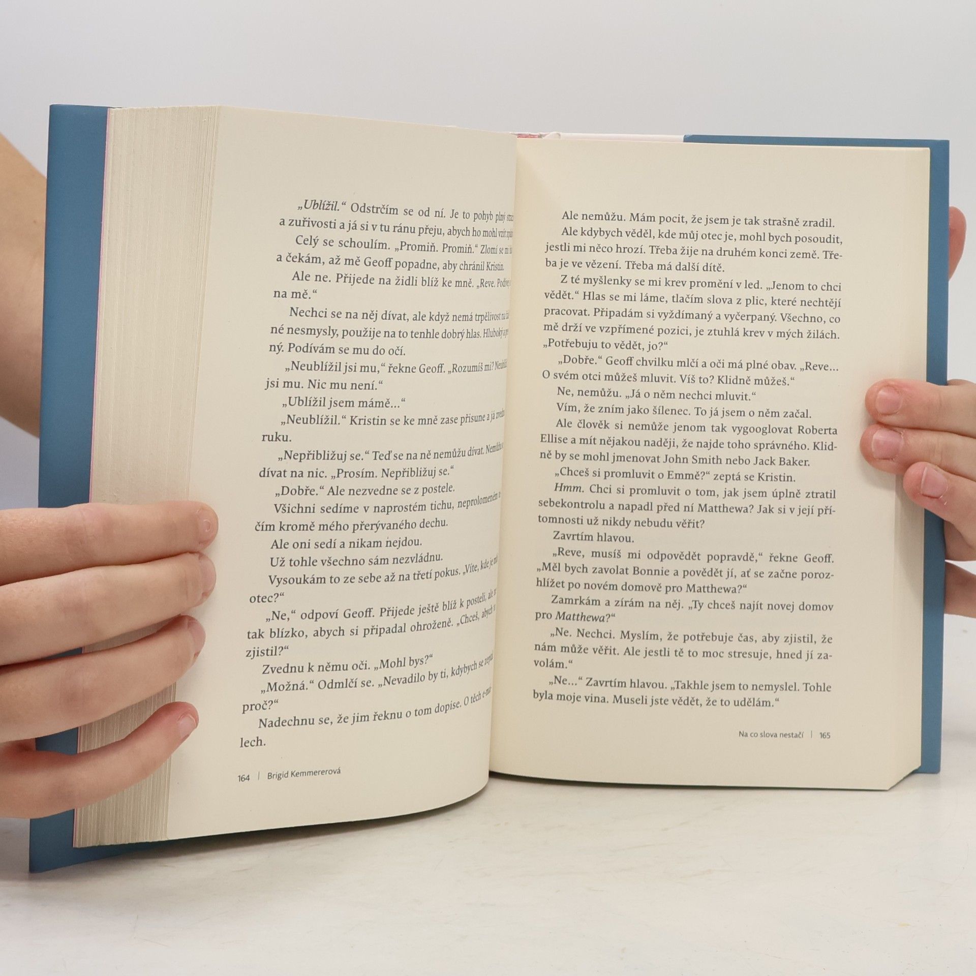 Brigid Kemmerer Na co slova nestačí