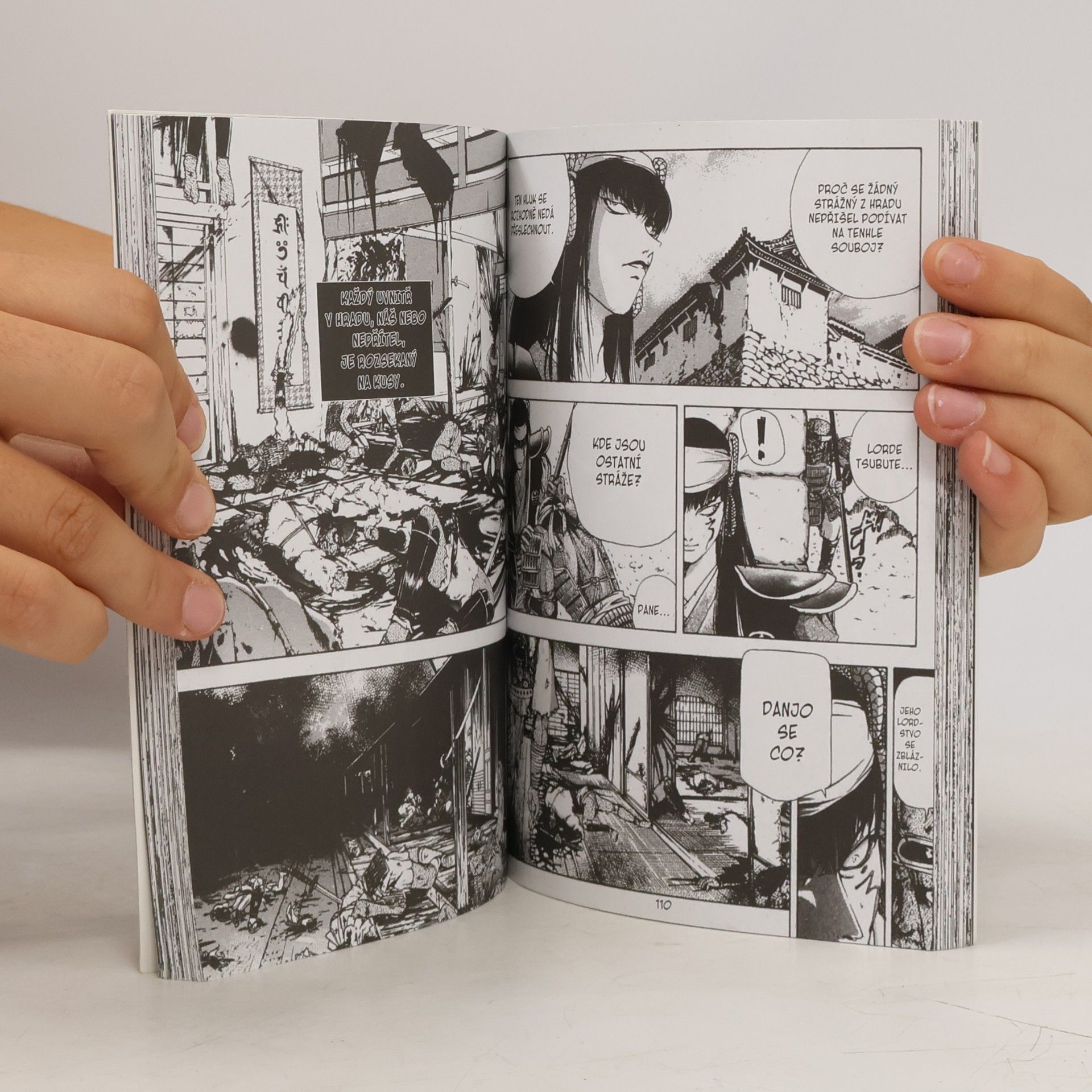 Masakazu Yamaguchi Kannonina ruka 9