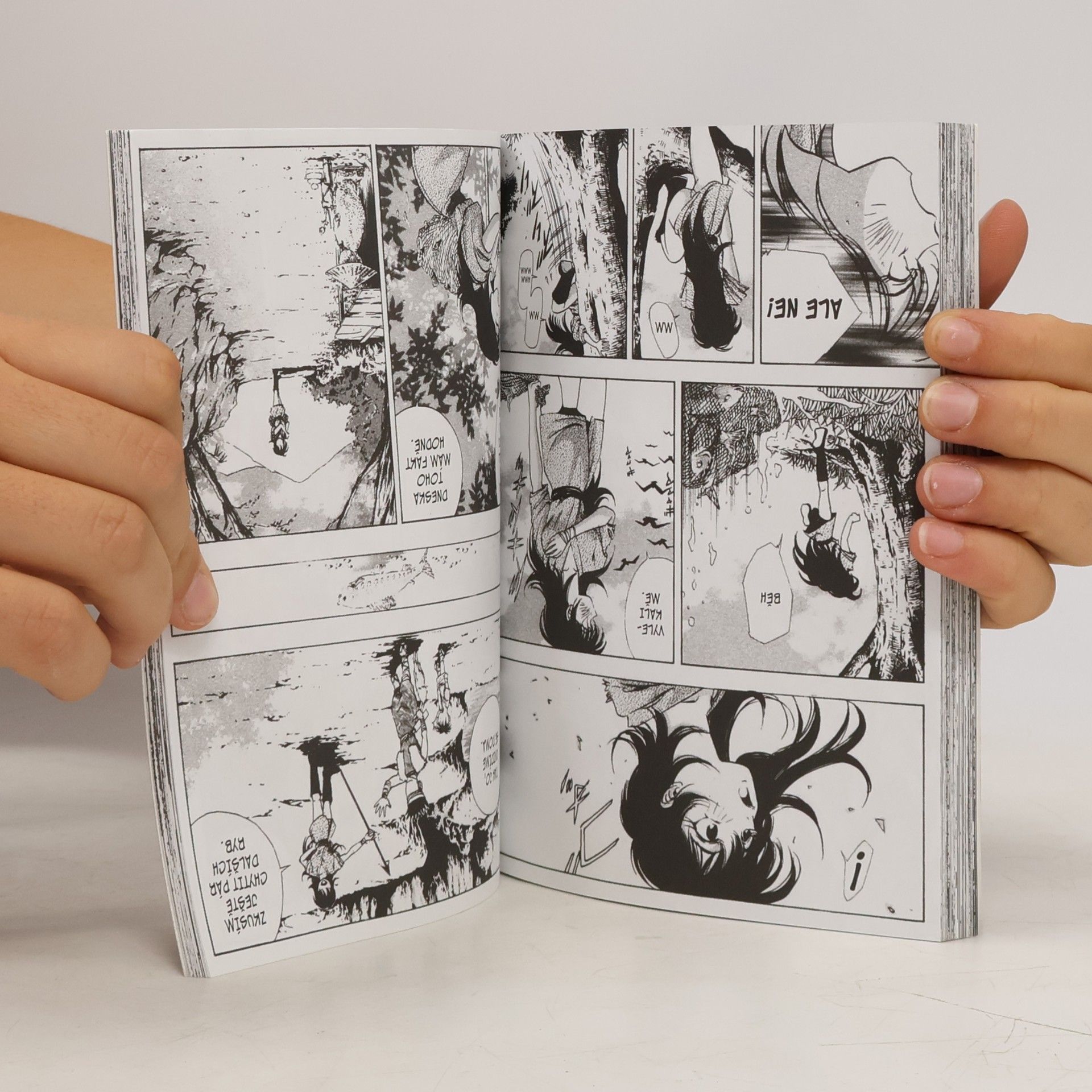 Masakazu Yamaguchi Kannonina ruka 8