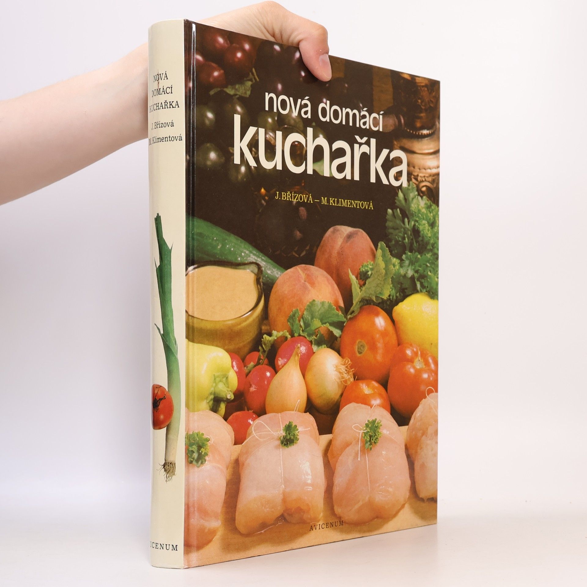Joza Břízová Nová domácí kuchařka
