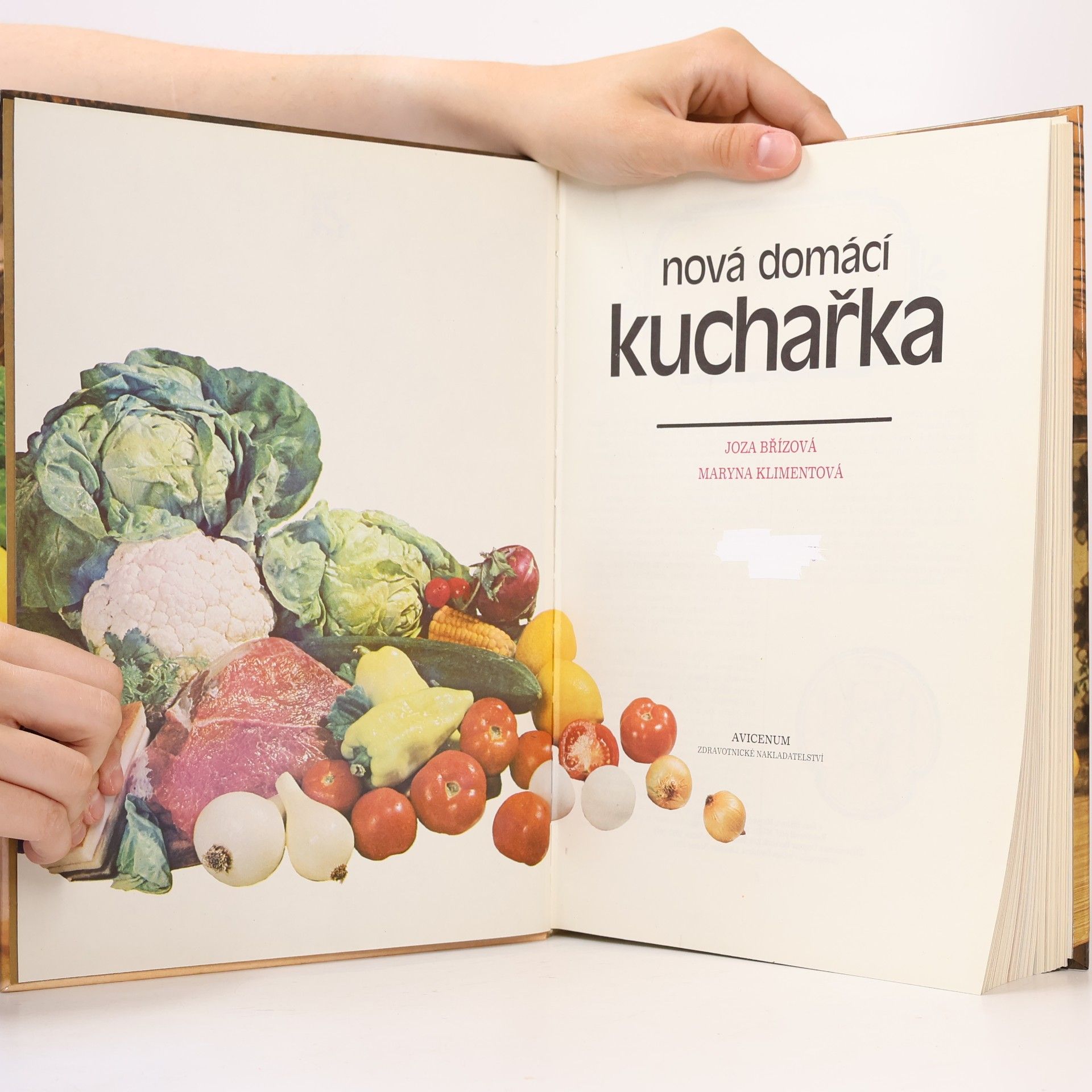Joza Břízová Nová domácí kuchařka