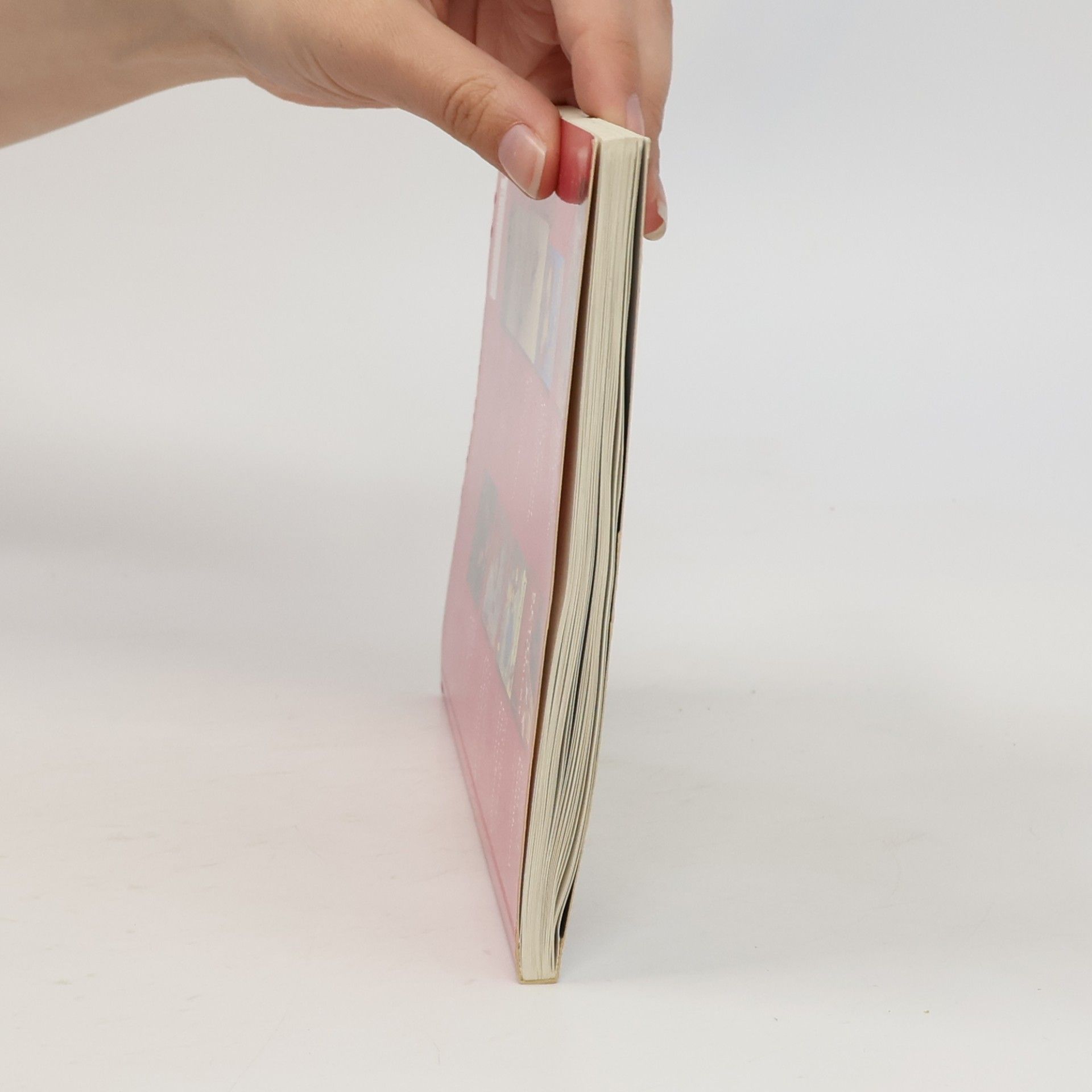 Autorenkollektiv Andersentag Buch 2009