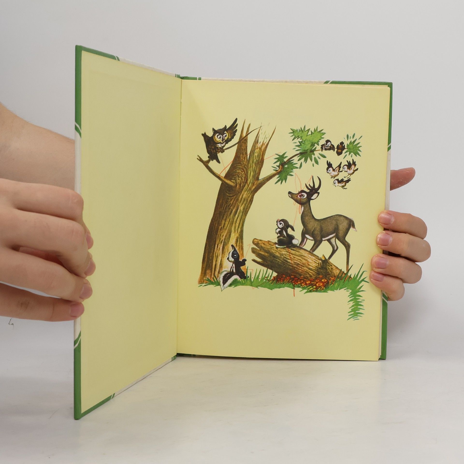 Auteurscollectief Bambi und andere Tiergeschichten