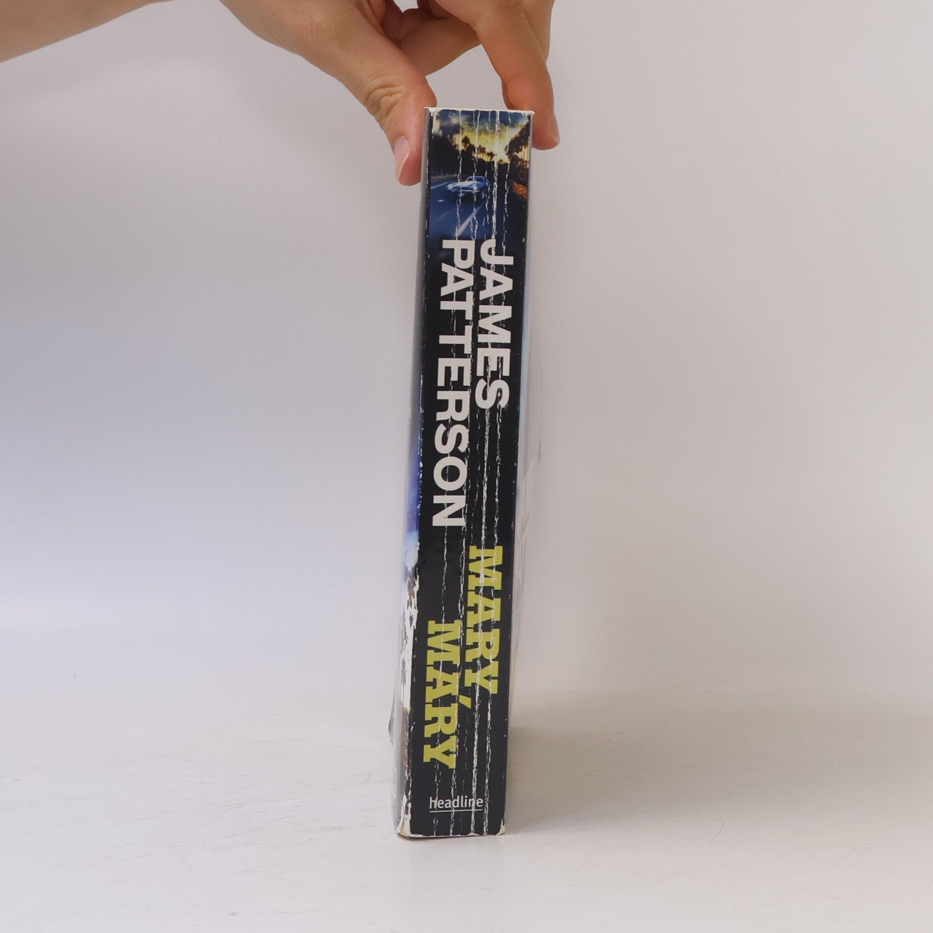 James Patterson Mary, Mary