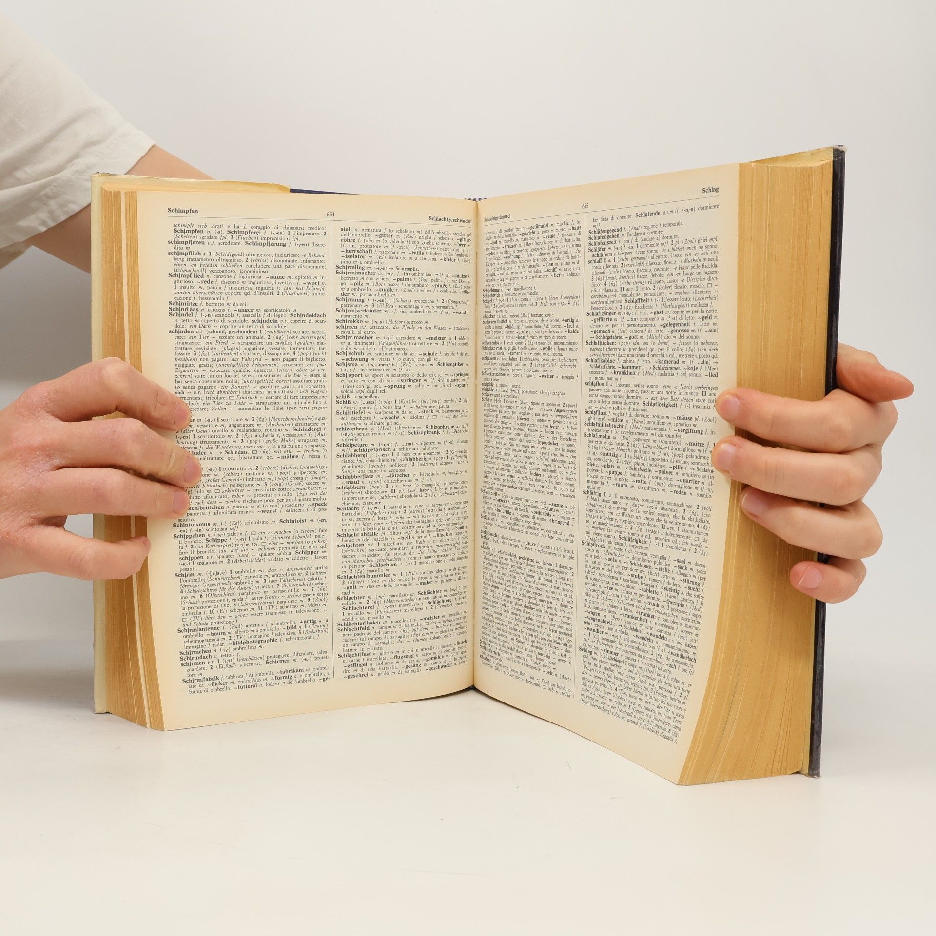 Autorenkollektiv Dizionario tedesco-italiano, italiano-tedesco 1